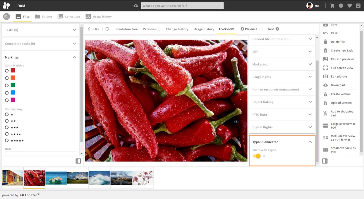 Sharing an asset with TYPO3 from the 4ALLPORTAL detail view