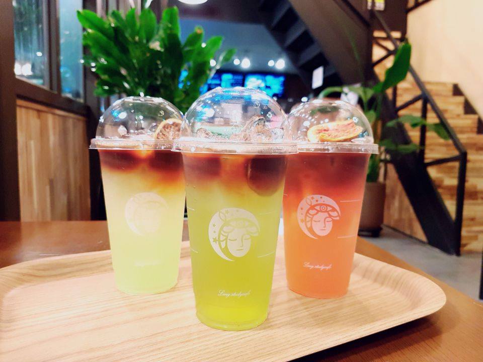 랭스터디카페 PPL