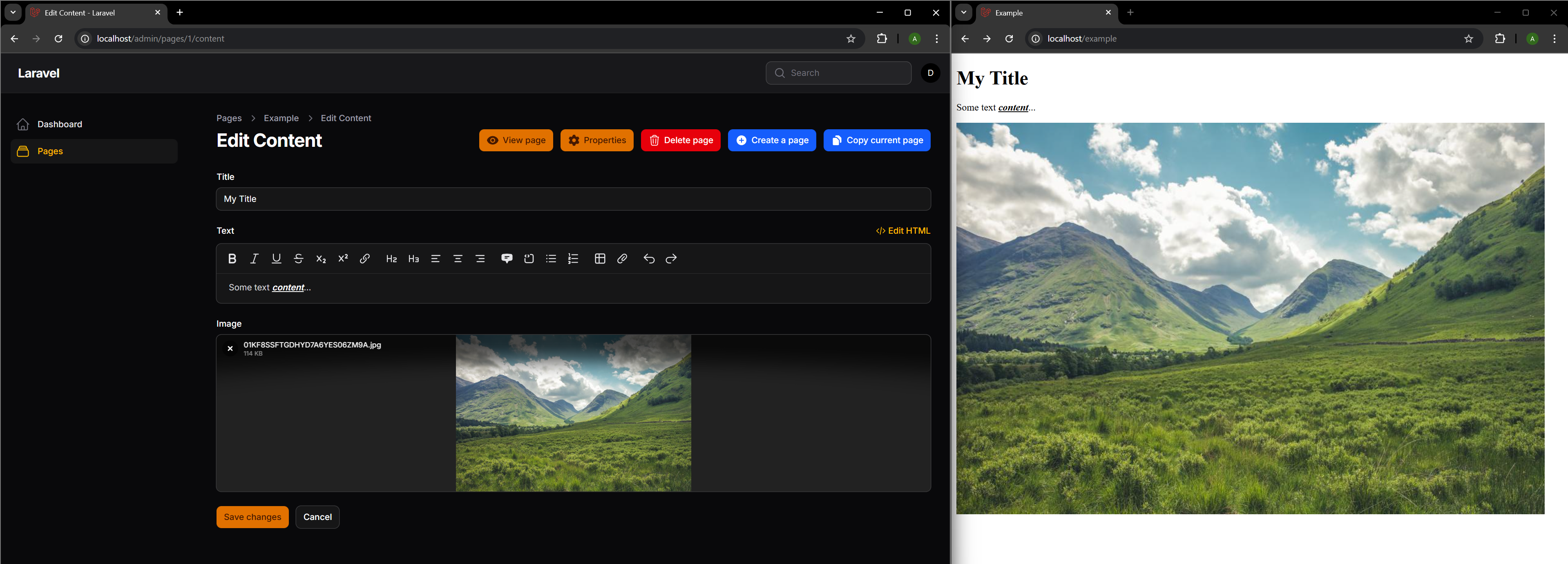 Website page and content edit