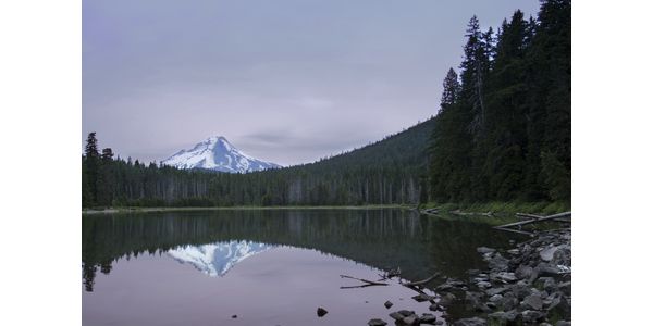 Pad 600x300