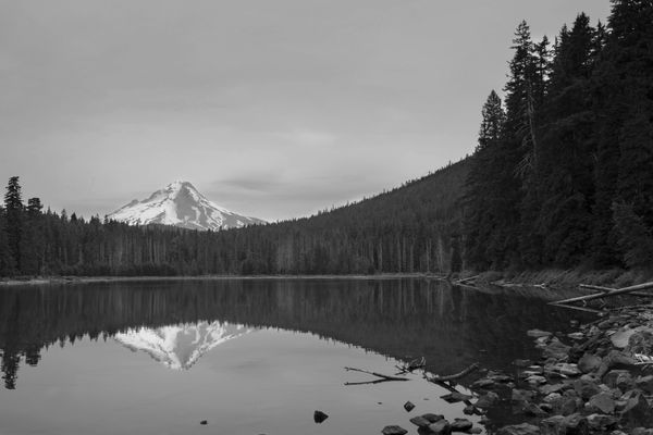 Grayscale