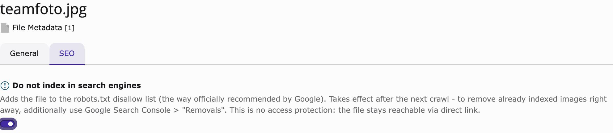 The checkbox on the SEO tab of the file metadata form