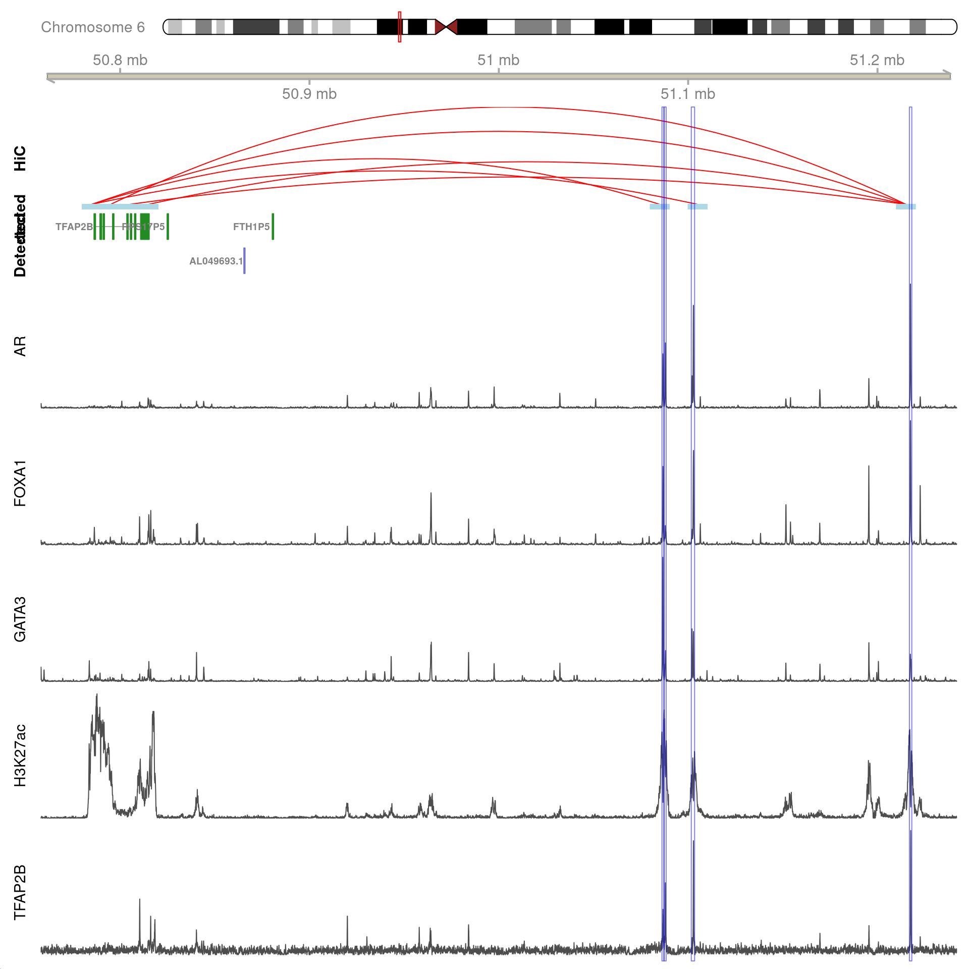 All H3K27ac-associated peaks where all four targets were detected, which map to *TFAP2B* and are within 500kb of *TFAP2B*. Only the medium-resolution 10kb interaction bins are shown.