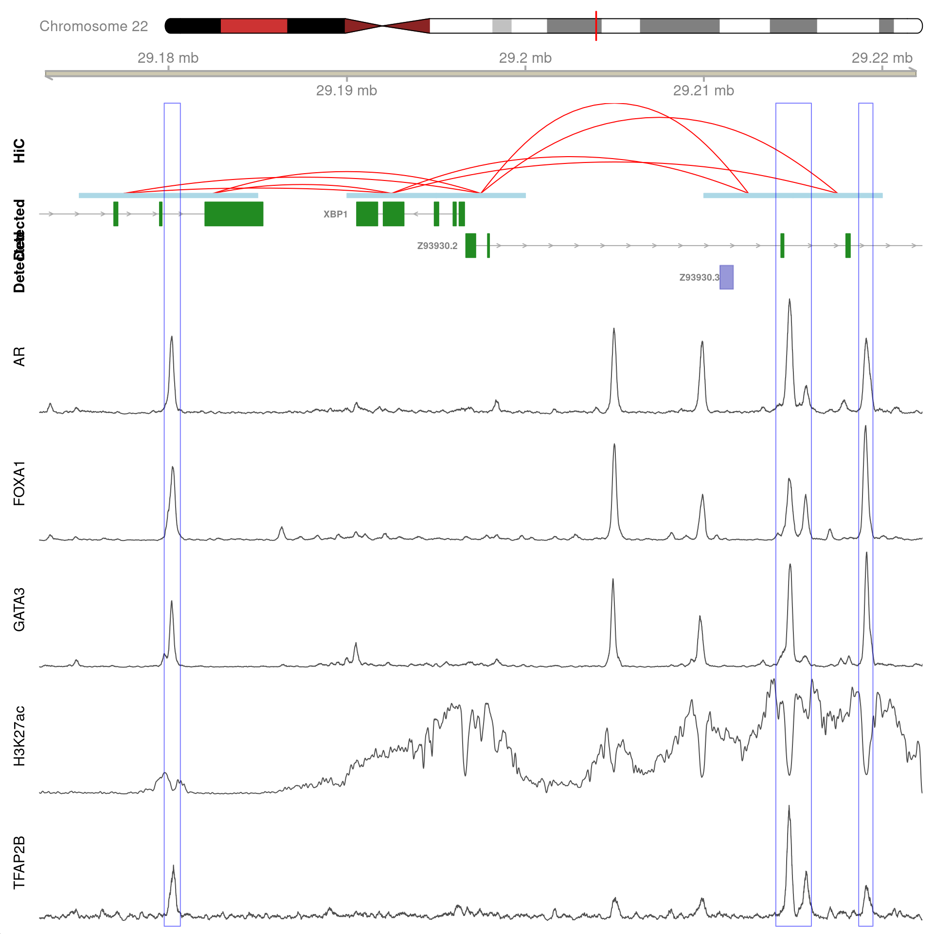 All H3K27ac-associated peaks where all four targets were detected, and which are within 100kb of *XBP1*. Only the high-resolution 5kb interaction bins are shown. The two additional peaks were not considered to show evidence of TFAP2B binding by macs2 callpeak and are not highlighted for this reason