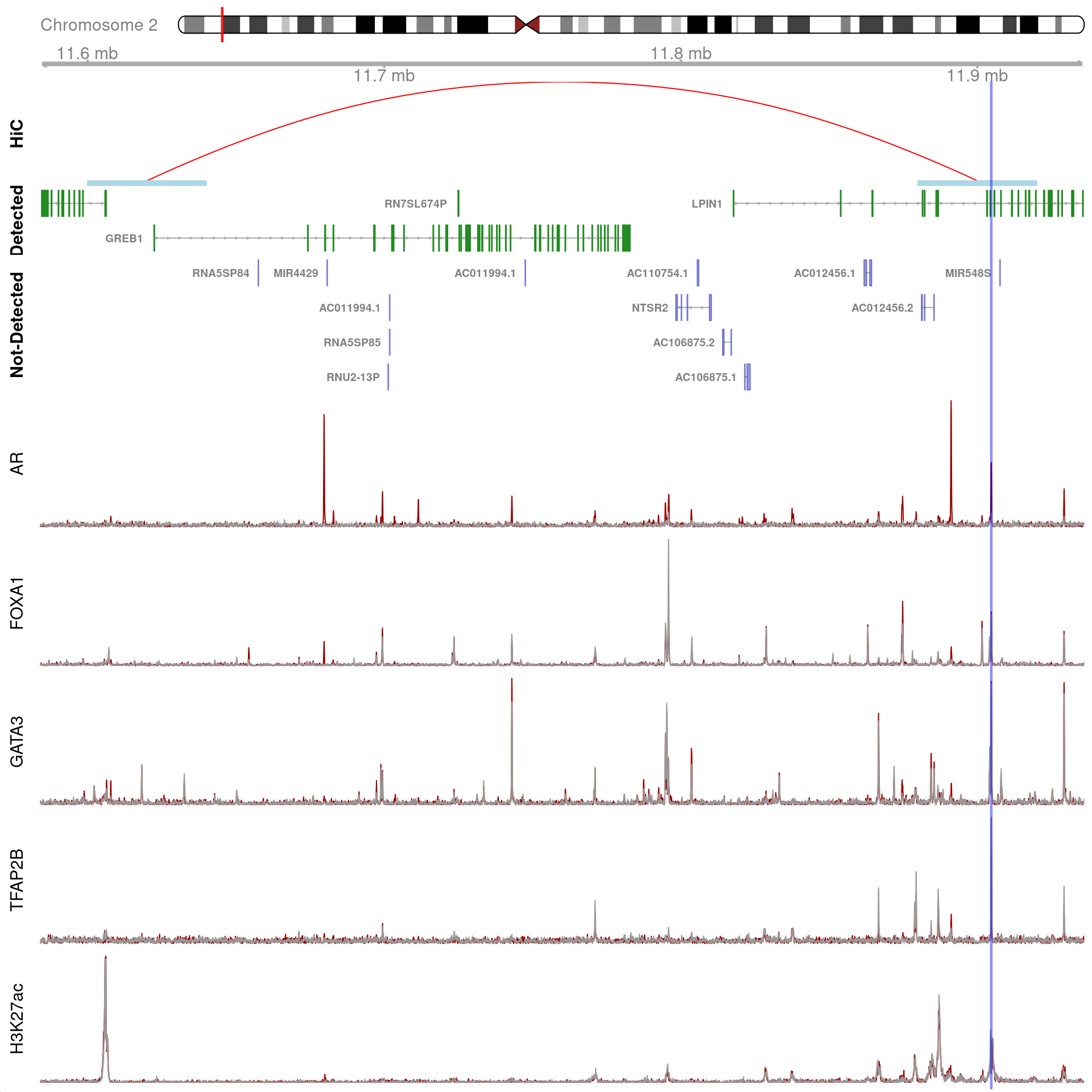 All H3K27ac-associated peaks where all four targets were detected, and which map to *GREB1*. Only the low-resolution 40kb interaction bins are shown.