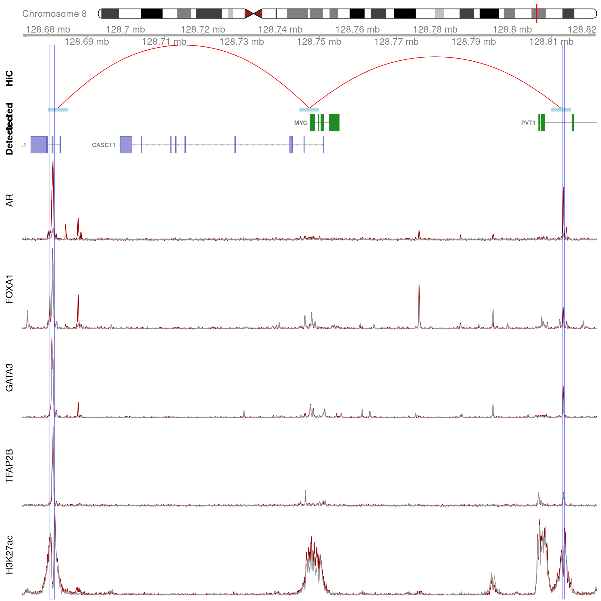 Two joint binding sites either side of *MYC* connected by HiChIP interactions to the promoter. HiChIP connections were detected at all bin sizes, however, only fine-resolutions 5kb interaction bins are shown.