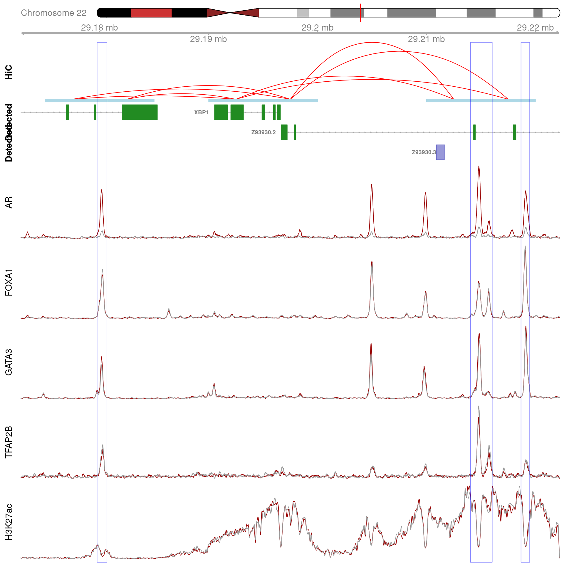 All H3K27ac-associated peaks where all four targets were detected, and which are within 100kb of *XBP1*. Only the high-resolution 5kb interaction bins are shown. The two additional peaks were not considered to show evidence of TFAP2B binding by macs2 callpeak and are not highlighted for this reason