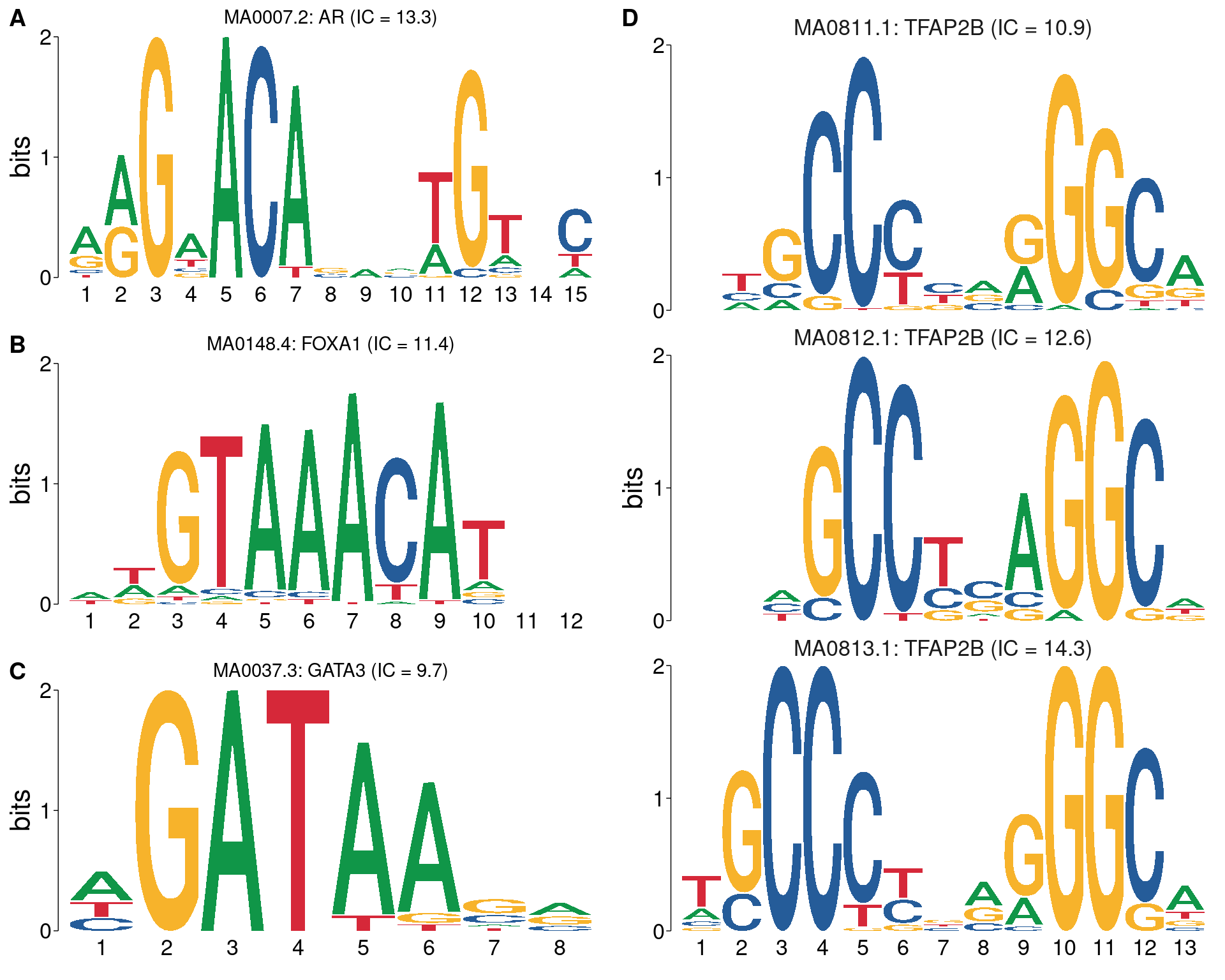 All motifs matching the set of ChIP targets. Motifc in A-C are not aligned with each other, whilst all TFAP2B motifs are shown using the best alignment.