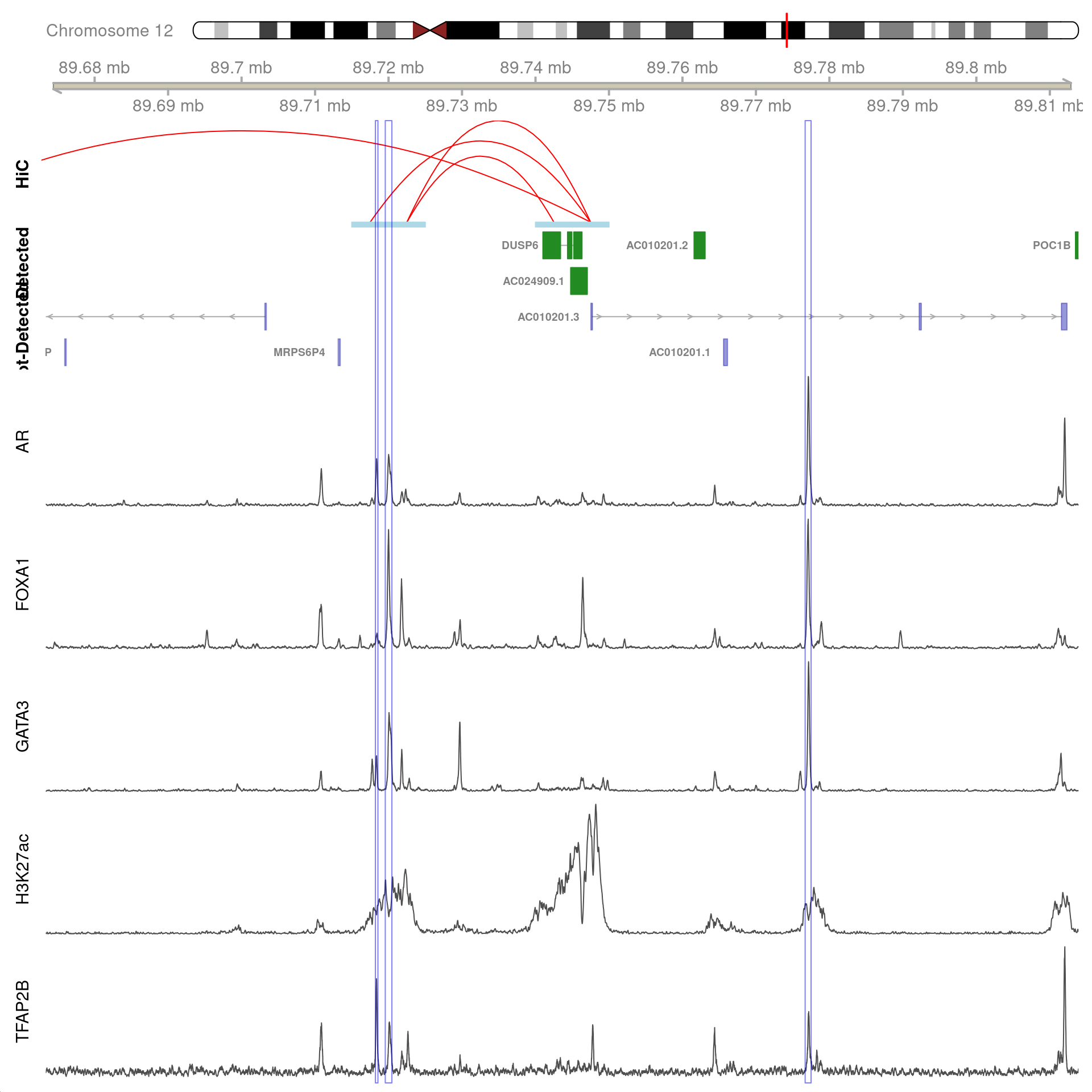 All H3K27ac-associated peaks where all four targets were detected, which map to *DUSP6* and are within 100kb of the gene. Only the high-resolution 5kb HiC interaction bins are shown.