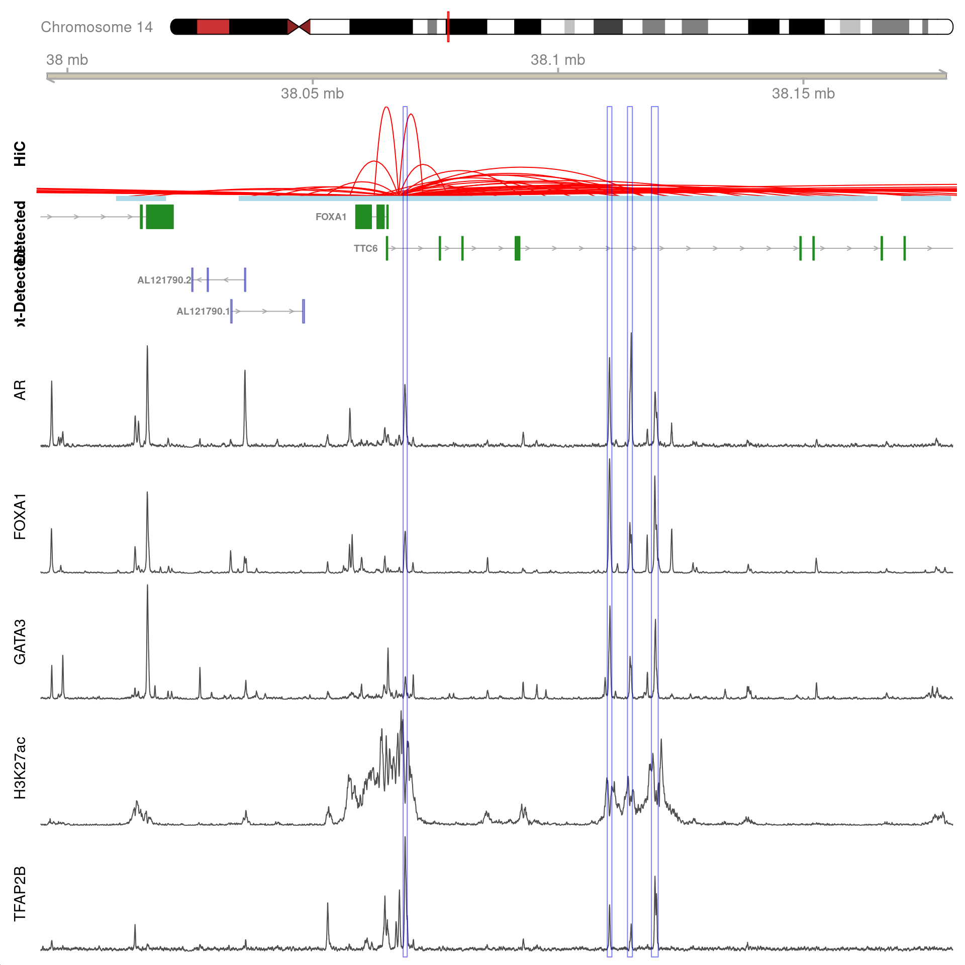 All H3K27ac-associated peaks where all four targets were detected, and which map to *FOXA1*. Only the high-resolution 5kb bins are shown.