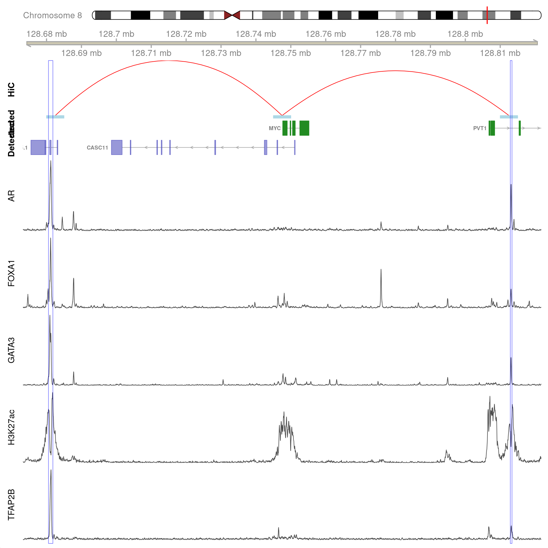 Two joint binding sites either side of *MYC* connected by HiChIP interactions to the promoter. HiChIP connections were detected at all bin sizes, however, only fine-resolutions 5kb interaction bins are shown.