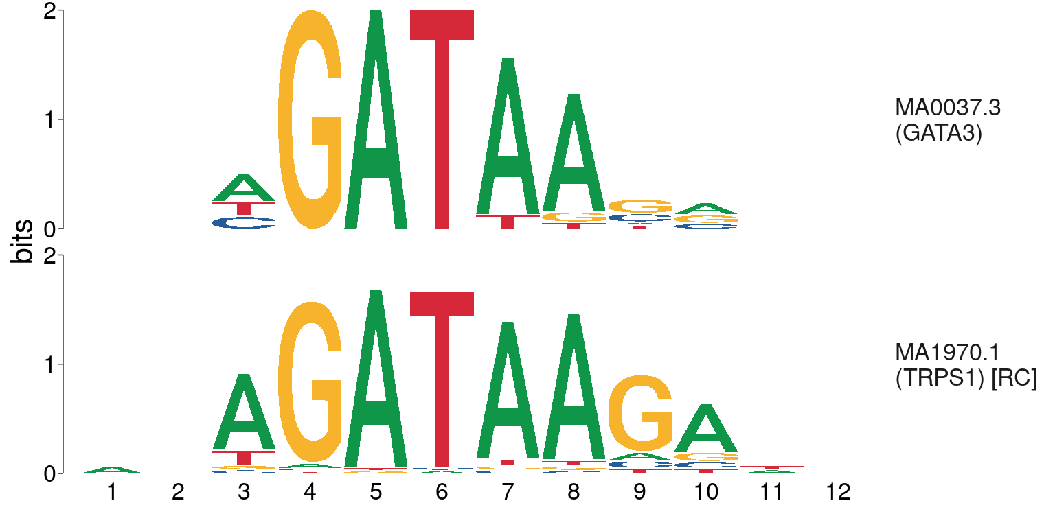 Comparison between GATA3 and TRPS1 motifs