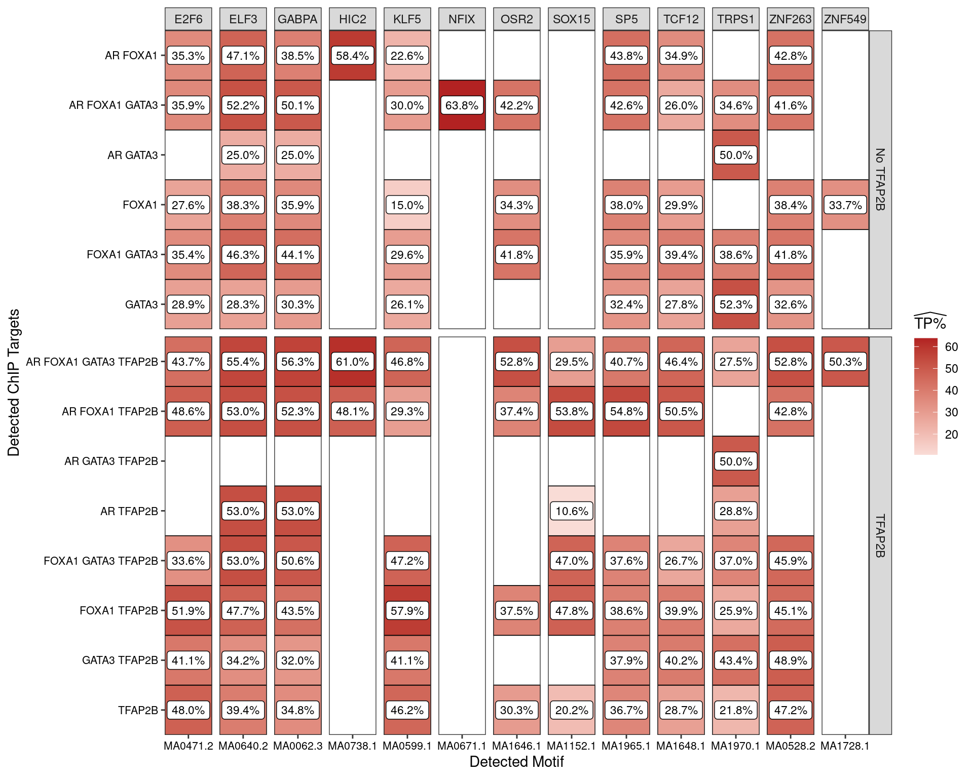 Enriched motifs when analysing all sequences associated with one or more ChIP targets **and which overlap an H3K27ac peak**. Motifs are only shown if found in >50% of sequences from at least one set of peaks.