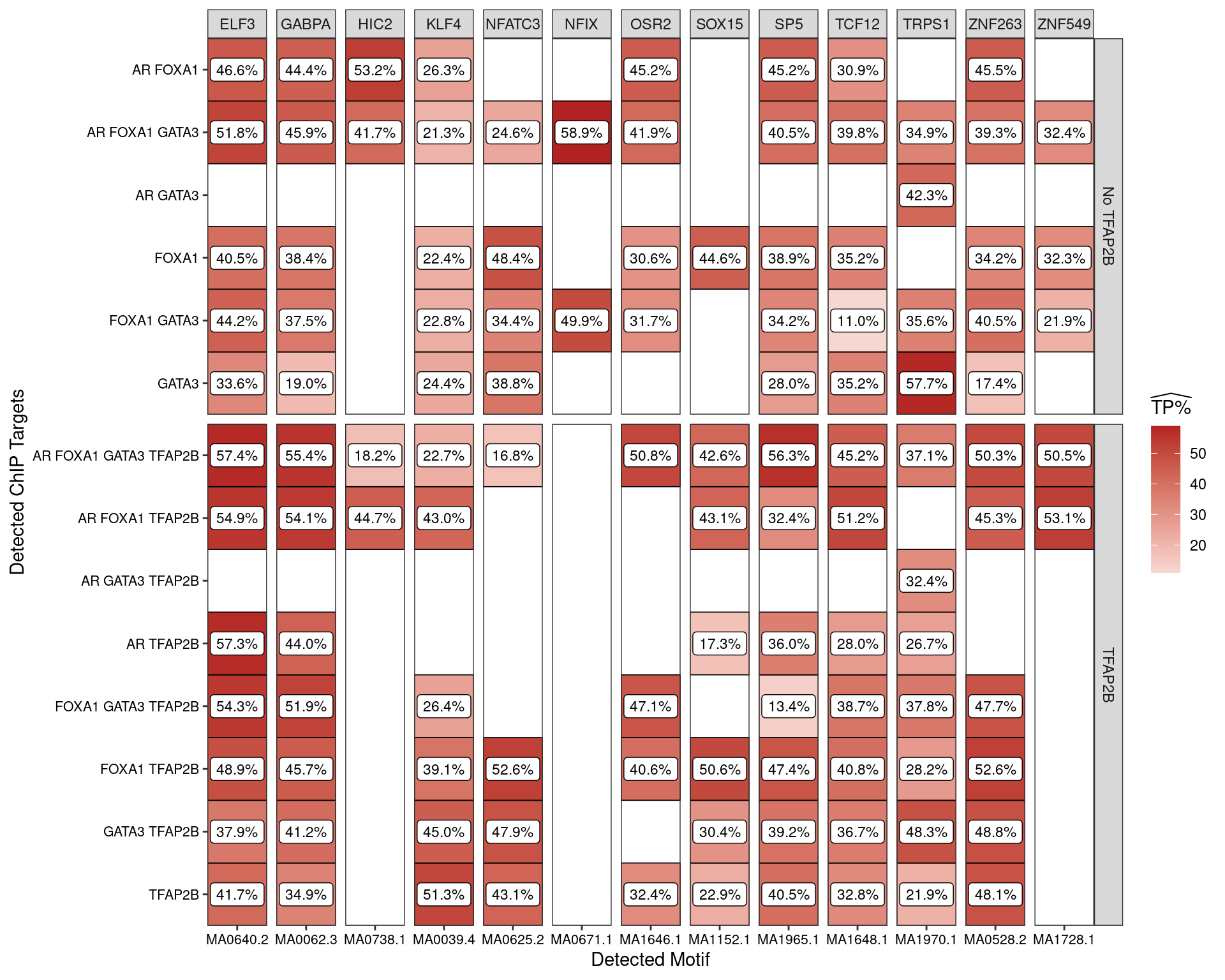 Enriched motifs when analysing all sequences associated with one or more ChIP targets **and which overlap an H3K27ac peak**. Motifs are only shown if found in >50% of sequences from at least one set of peaks.