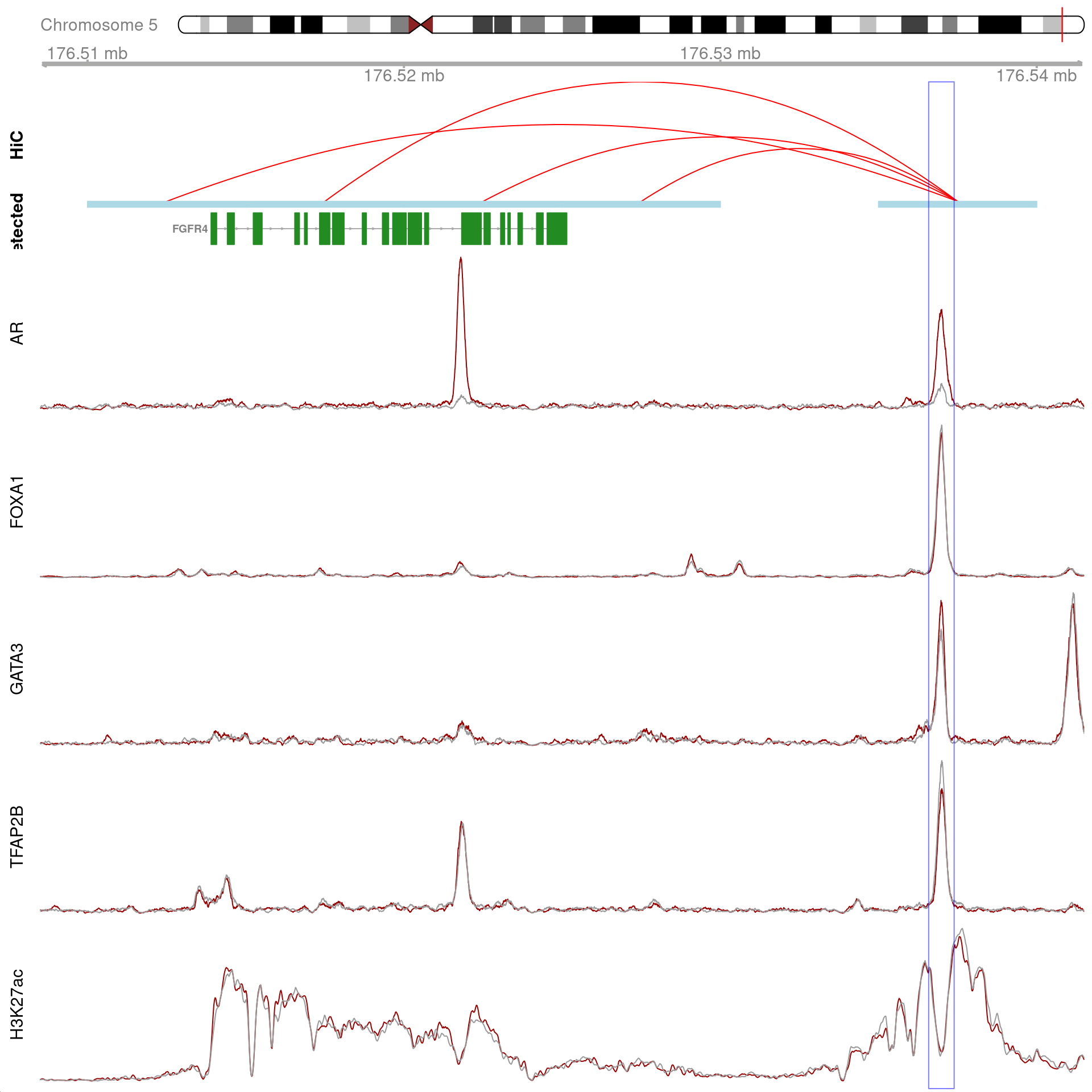 All H3K27ac-associated peaks where all four targets were detected, which map to *FGFR4* and are within 100kb of the gene. Only the high-resolution 5kb HiC interaction bins are shown.