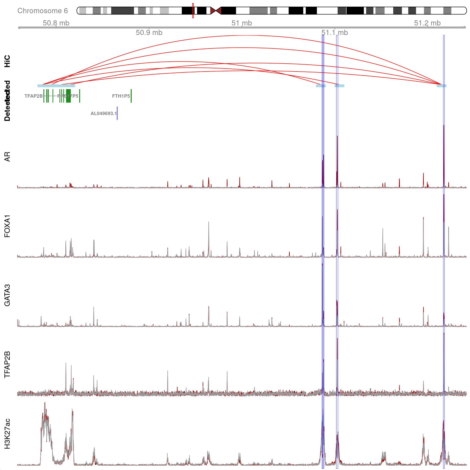 All H3K27ac-associated peaks where all four targets were detected, which map to *TFAP2B* and are within 500kb of *TFAP2B*. Only the medium-resolution 10kb interaction bins are shown.