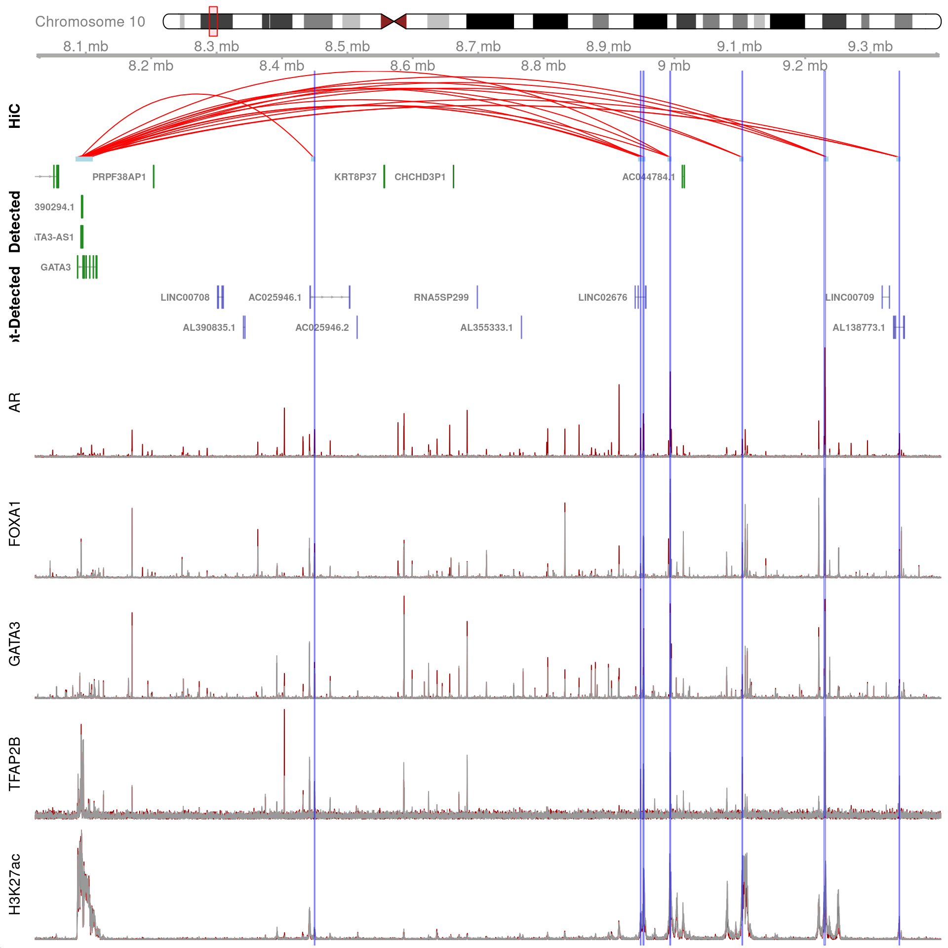 All H3K27ac-associated peaks where all four targets were detected, and which map to *GATA3*. Only the high-resolution 5kb bins are shown.