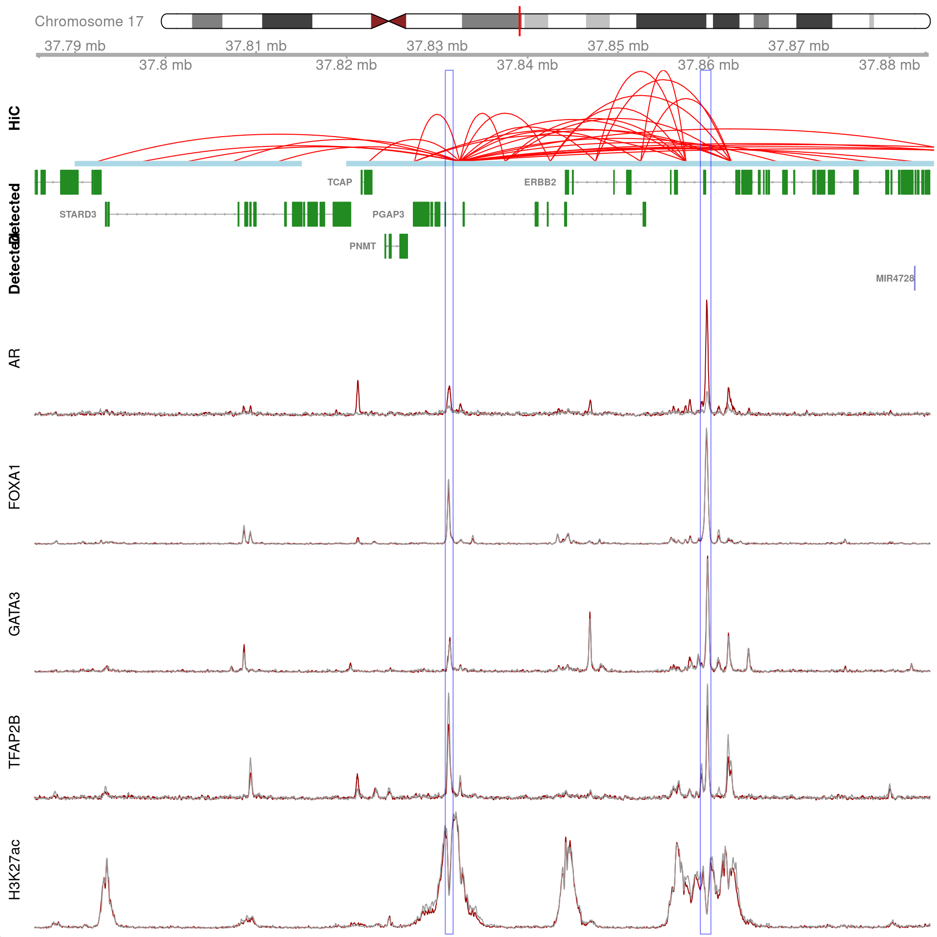 All H3K27ac-associated peaks where all four targets were detected, which map to *PGAP3* and are within 100kb of the gene. Only the high-resolution 5kb HiC interaction bins are shown.
