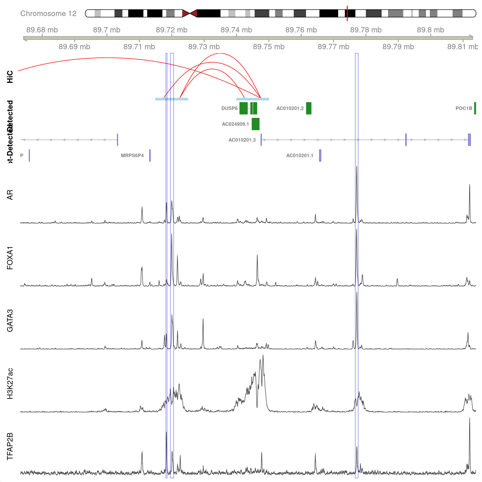 All H3K27ac-associated peaks where all four targets were detected, which map to *DUSP6* and are within 100kb of the gene. Only the high-resolution 5kb HiC interaction bins are shown.