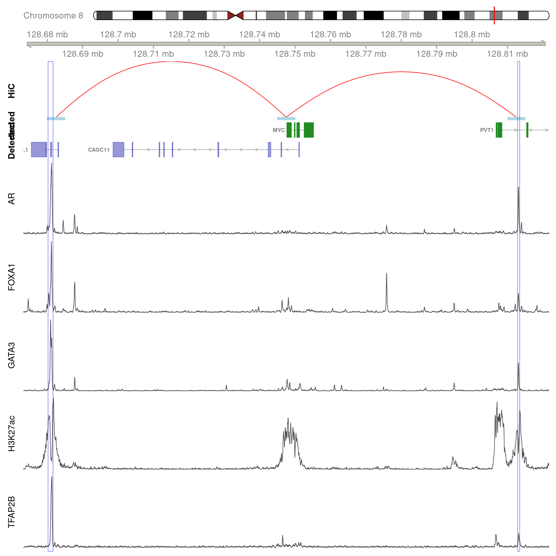 Two joint binding sites either side of *MYC* connected by HiChIP interactions to the promoter. HiChIP connections were detected at all bin sizes, however, only fine-resolutions 5kb interaction bins are shown.