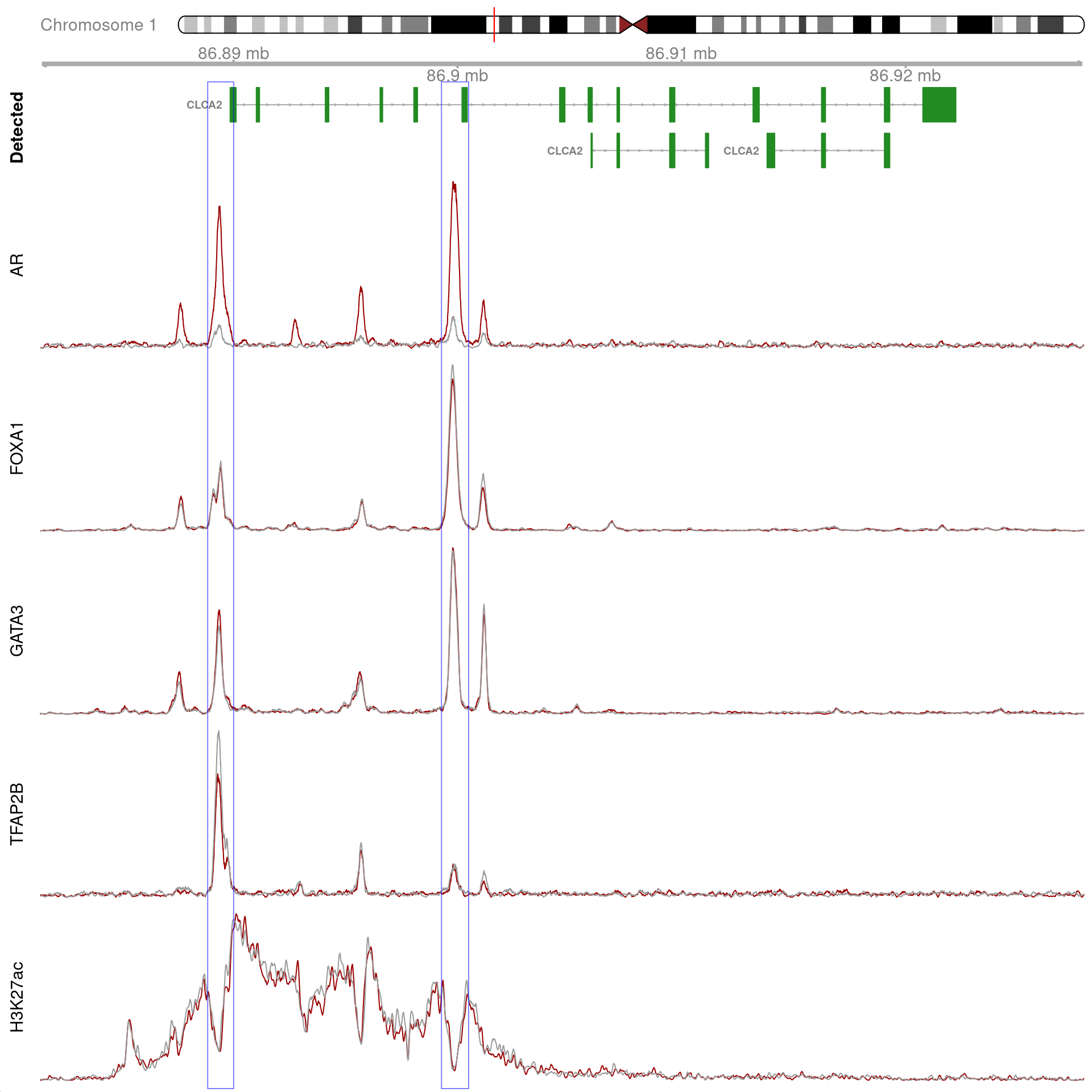All H3K27ac-associated peaks where all four targets were detected, and which within the transcribed region for *CLCA2*. No HiC data is shown.