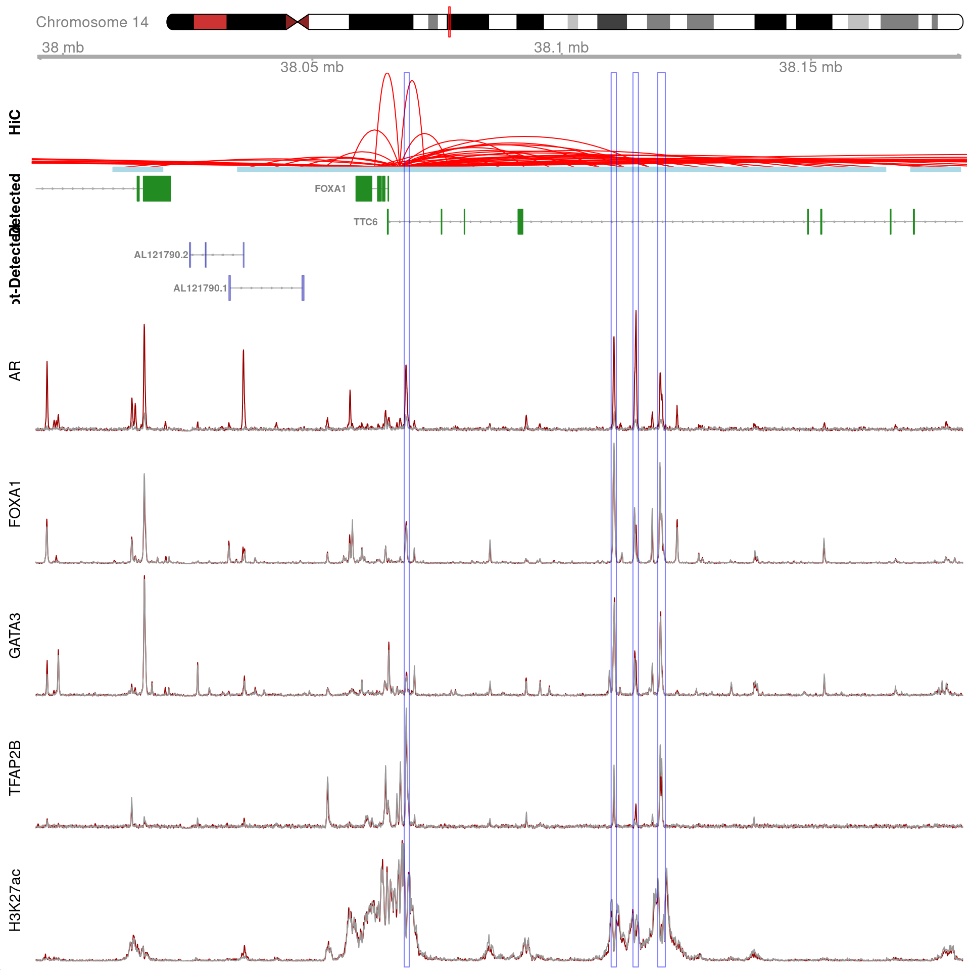 All H3K27ac-associated peaks where all four targets were detected, and which map to *FOXA1* Only the high-resolution 5kb bins are shown.