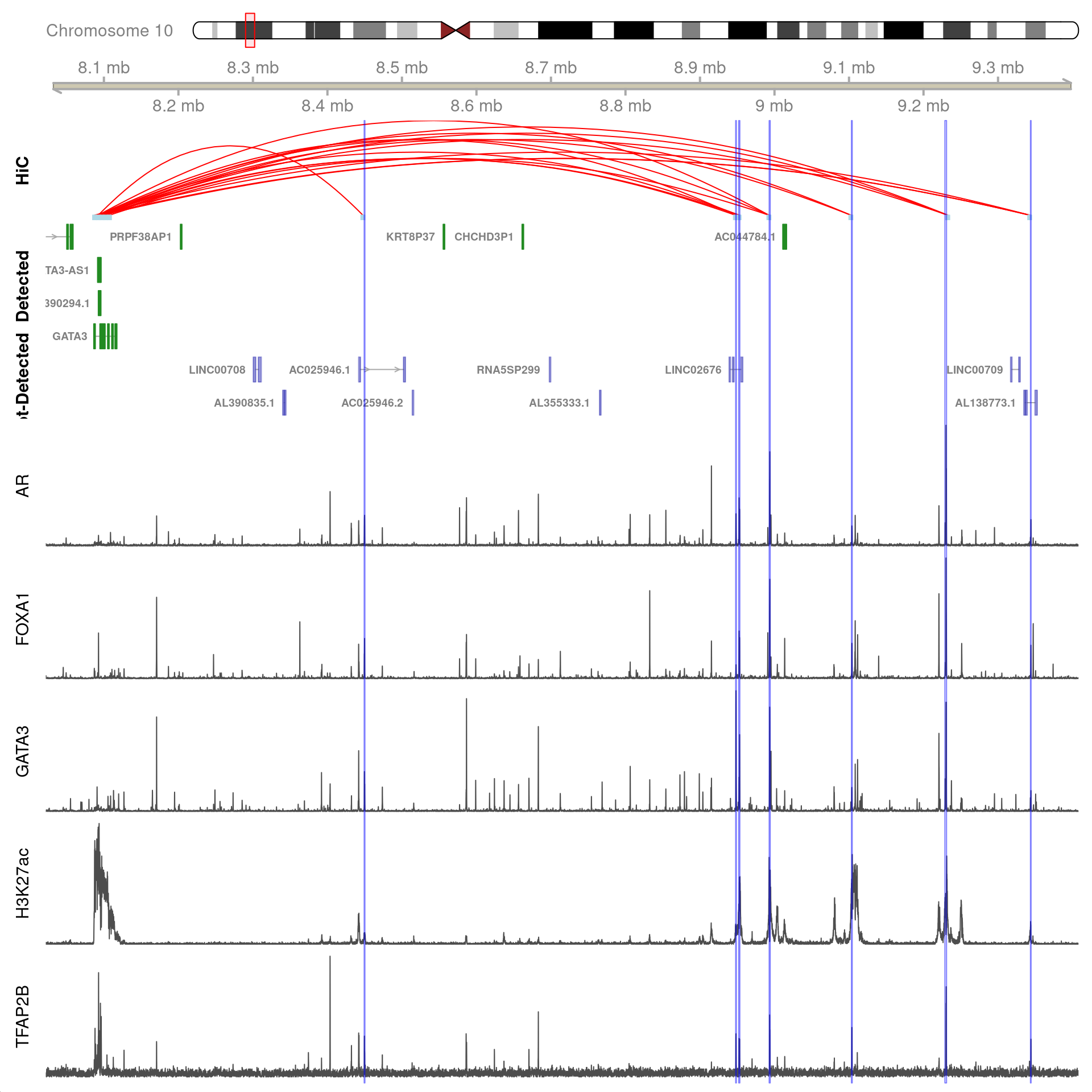 All H3K27ac-associated peaks where all four targets were detected, and which map to *GATA3*. Only the high-resolution 5kb bins are shown.