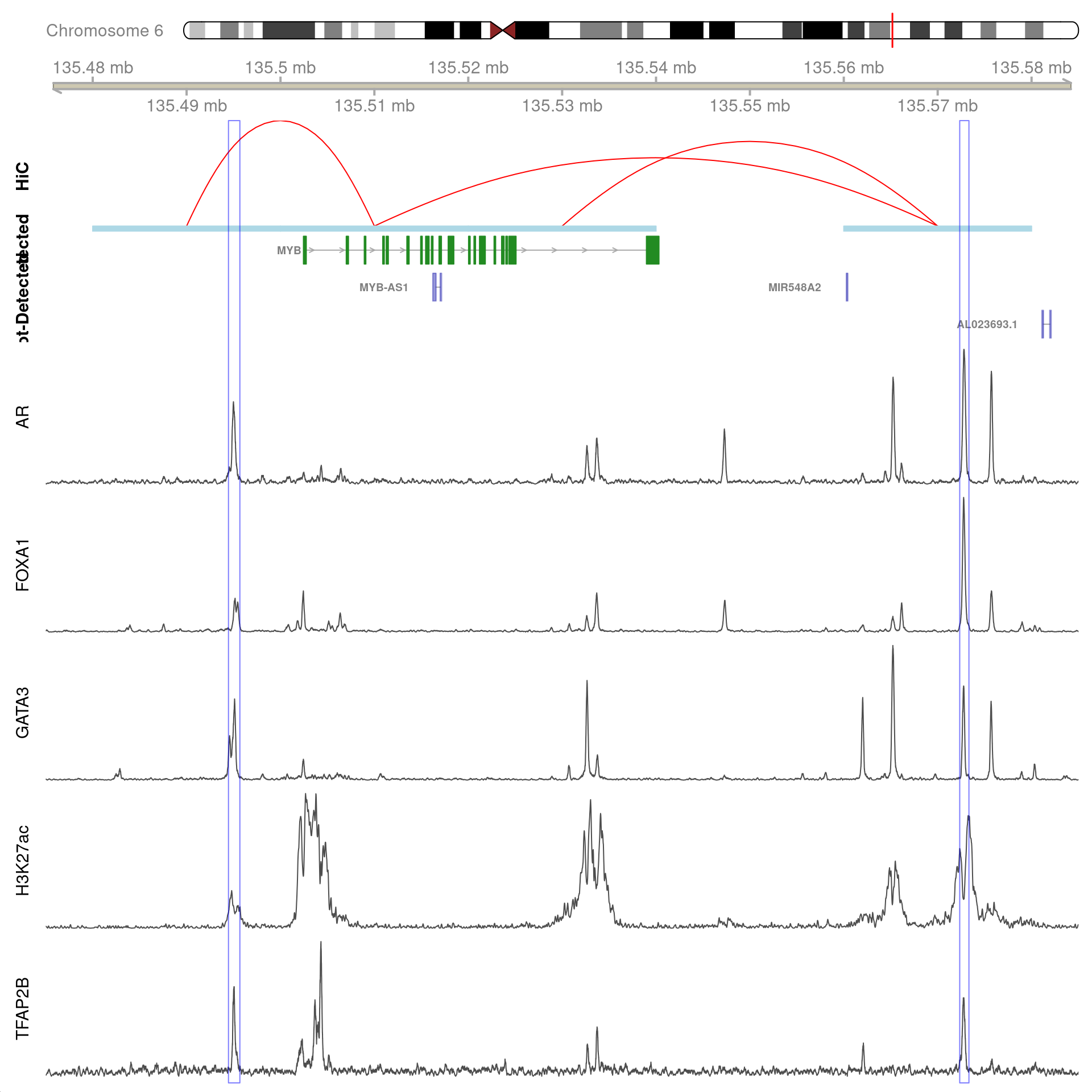 All H3K27ac-associated peaks where all four targets were detected, and which map to *MYB*. Only the low-resolution 20kb interaction bins are shown.
