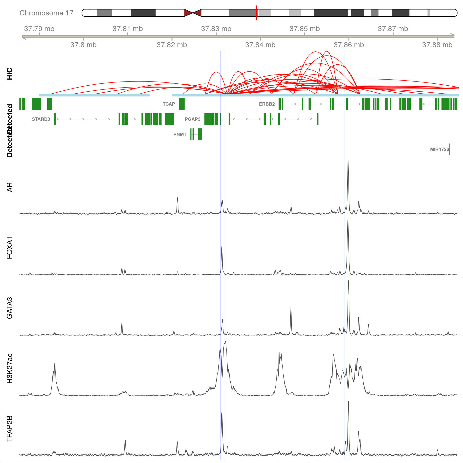 All H3K27ac-associated peaks where all four targets were detected, which map to *PGAP3* and are within 100kb of the gene. Only the high-resolution 5kb HiC interaction bins are shown.