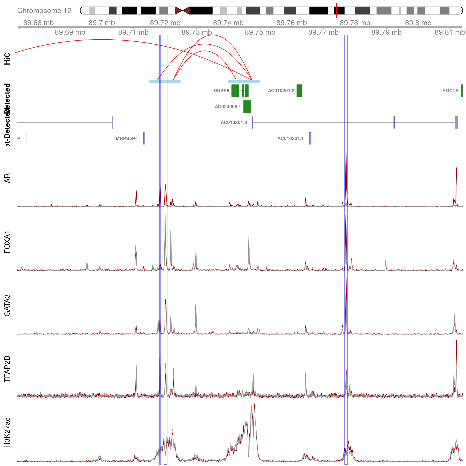 All H3K27ac-associated peaks where all four targets were detected, which map to *DUSP6* and are within 100kb of the gene. Only the high-resolution 5kb HiC interaction bins are shown.