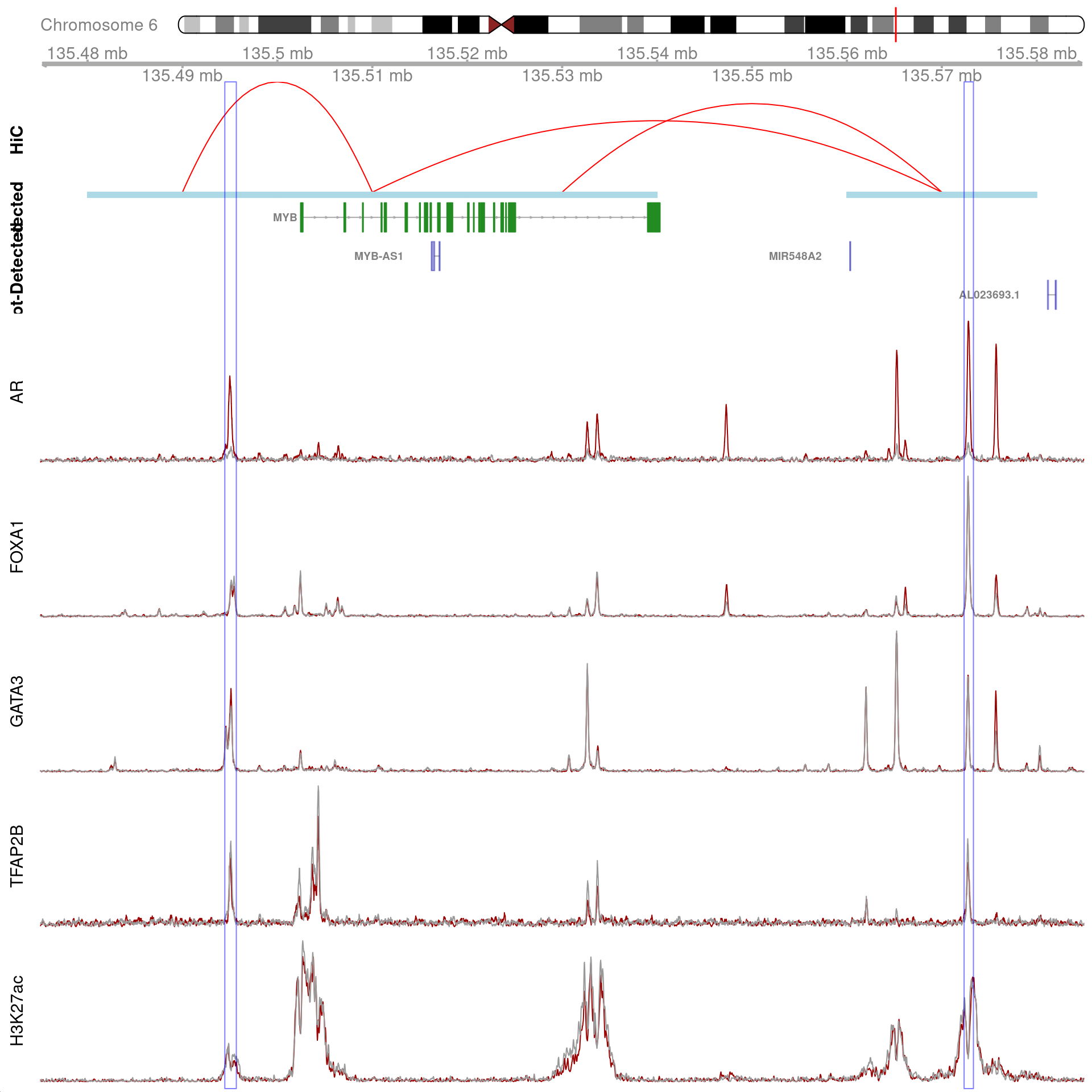 All H3K27ac-associated peaks where all four targets were detected, and which map to *MYB*. Only the low-resolution 20kb interaction bins are shown.
