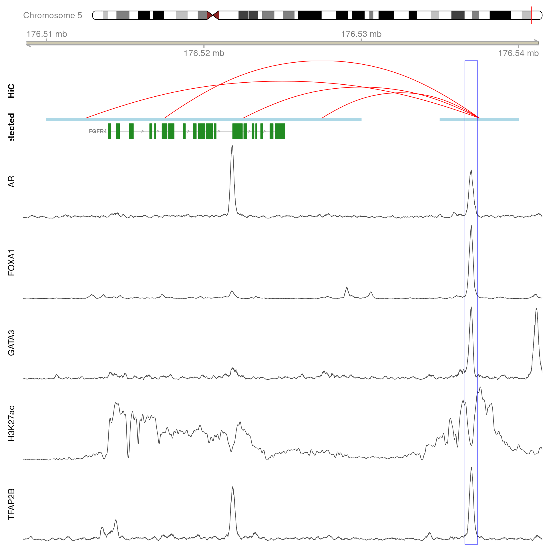 All H3K27ac-associated peaks where all four targets were detected, which map to *FGFR4* and are within 100kb of the gene. Only the high-resolution 5kb HiC interaction bins are shown.