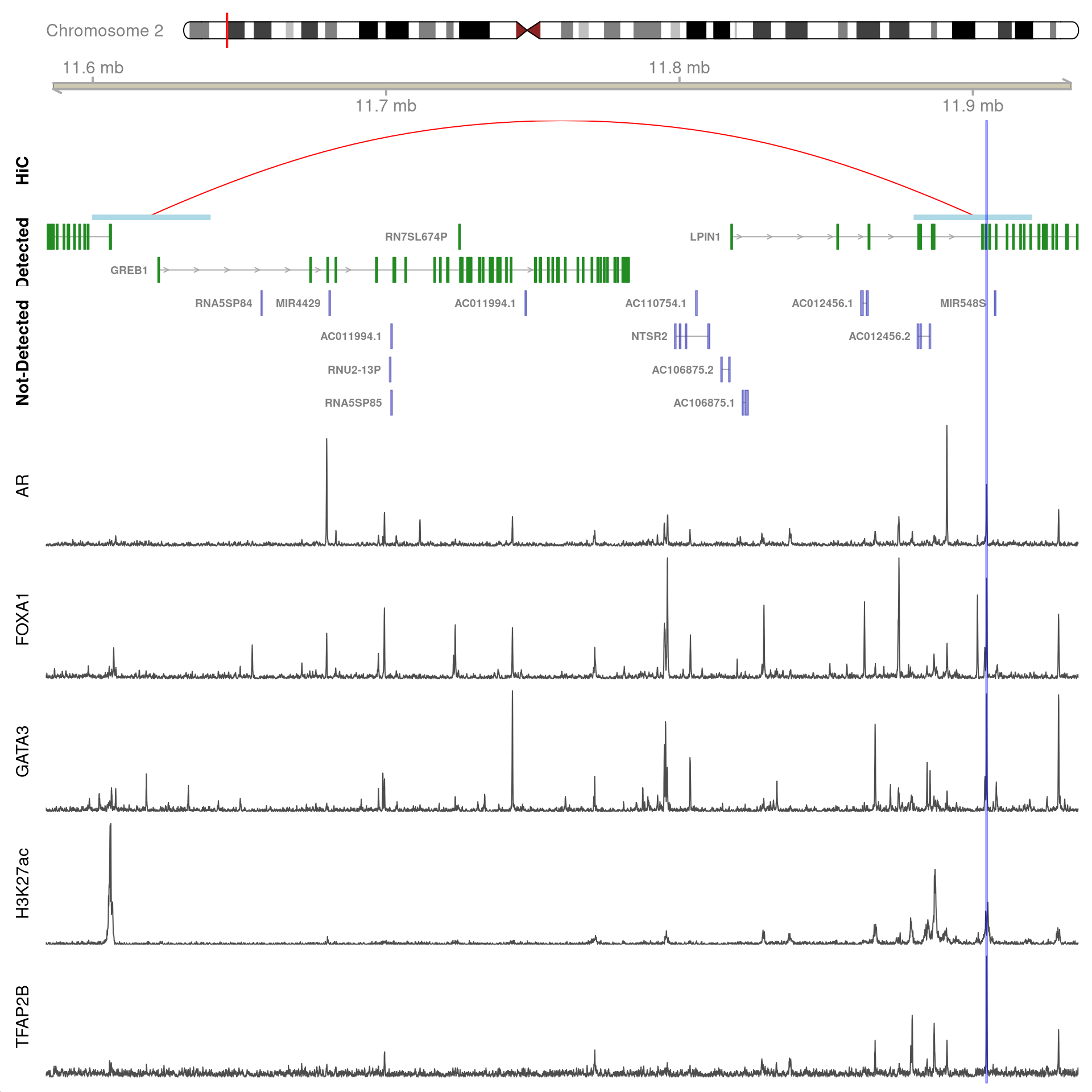 All H3K27ac-associated peaks where all four targets were detected, and which map to *GREB1*. Only the low-resolution 40kb interaction bins are shown.