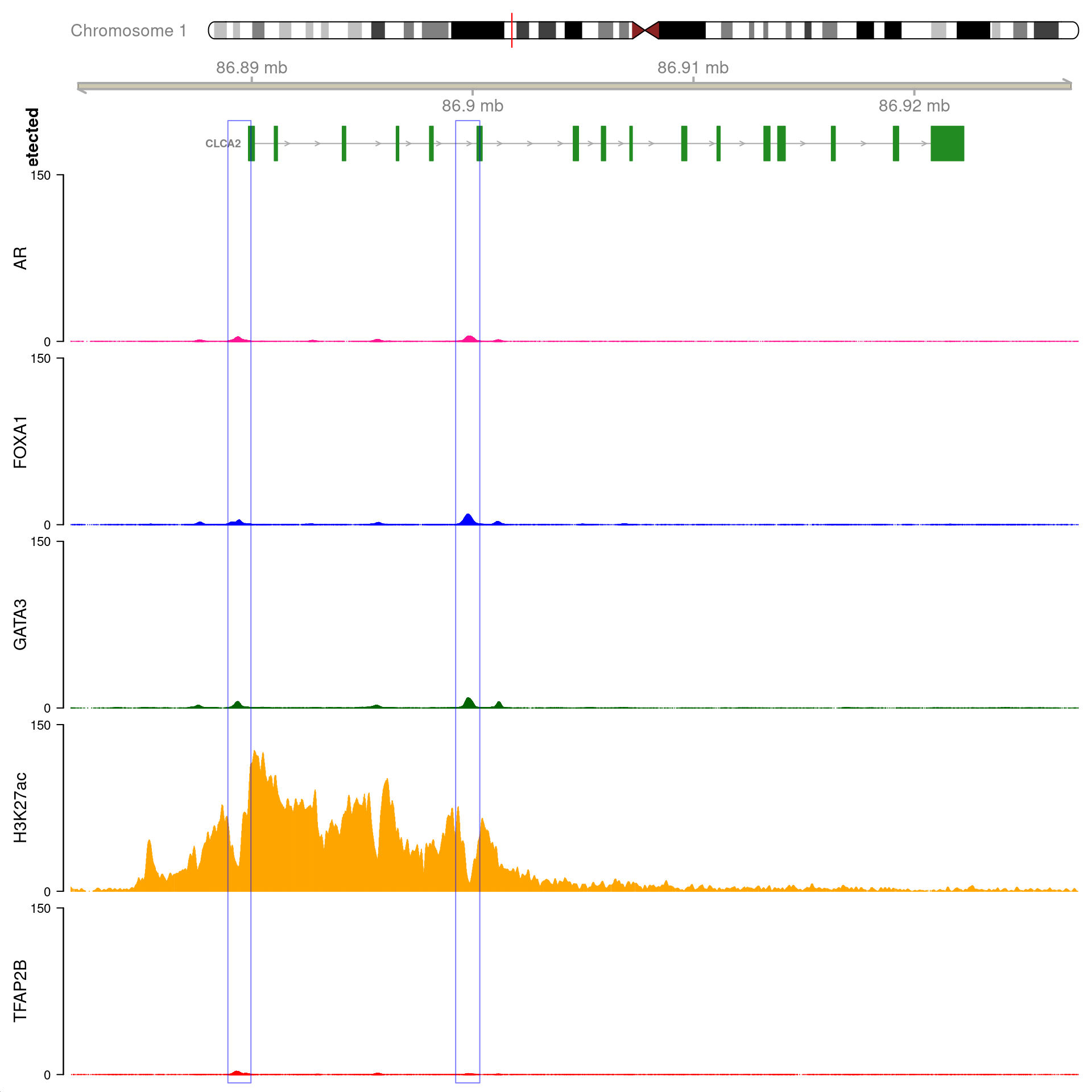 All H3K27ac-associated peaks where all four targets were detected, and which within the transcribed region for *CLCA2*. No HiC data is shown.