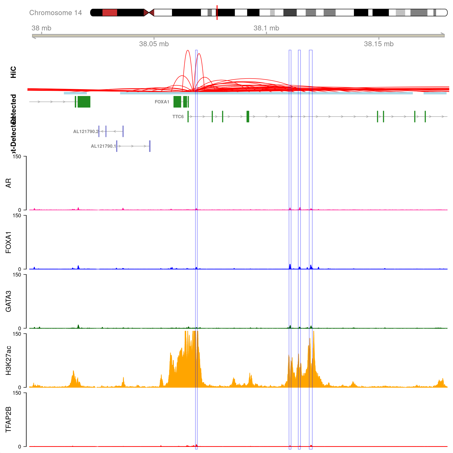 All H3K27ac-associated peaks where all four targets were detected, and which map to *FOXA1*. Only the high-resolution 5kb bins are shown.