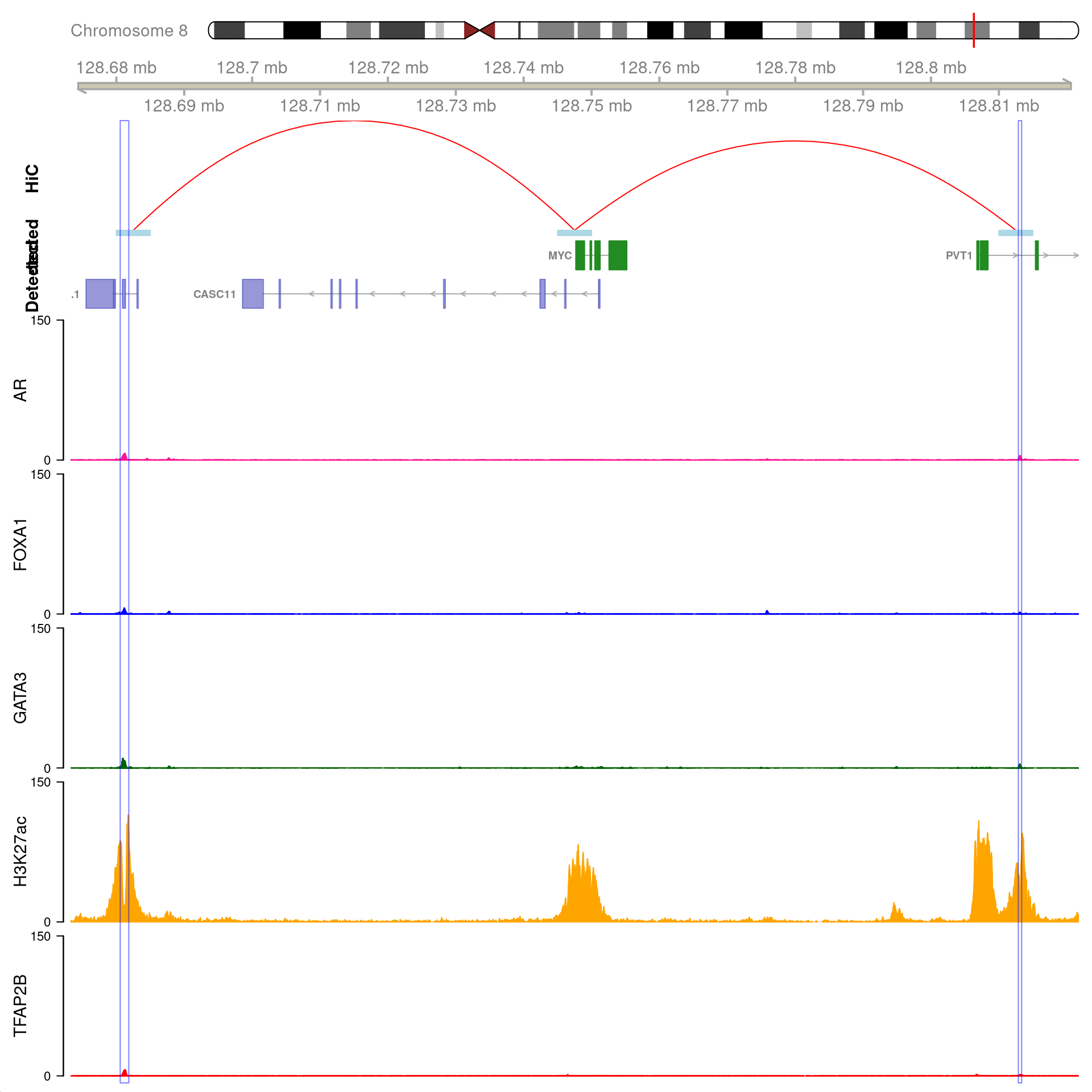 Two joint binding sites either side of *MYC* connected by HiChIP interactions to the promoter. HiChIP connections were detected at all bin sizes, however, only fine-resolutions 5kb interaction bins are shown.