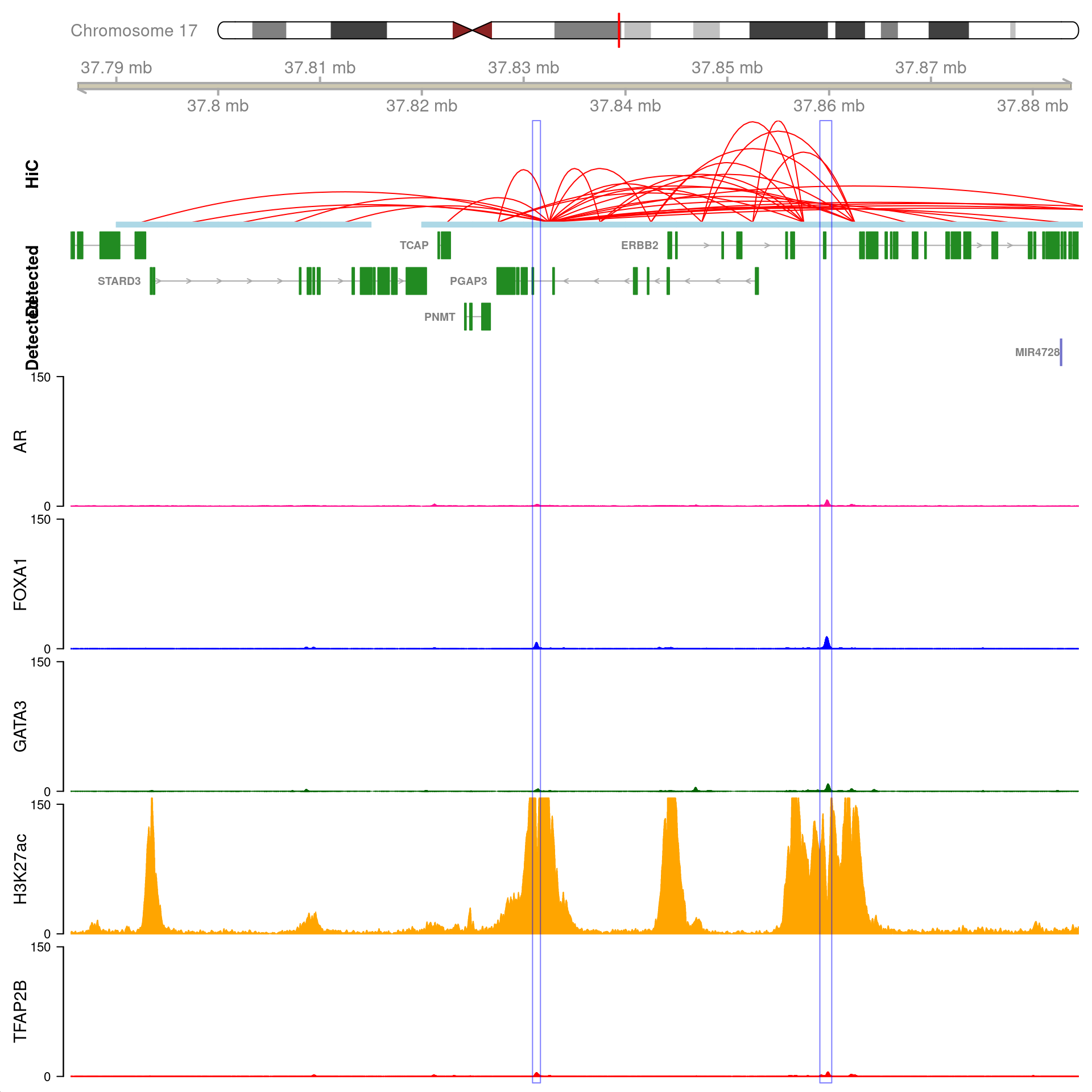 All H3K27ac-associated peaks where all four targets were detected, which map to *PGAP3* and are within 100kb of the gene. Only the high-resolution 5kb HiC interaction bins are shown.