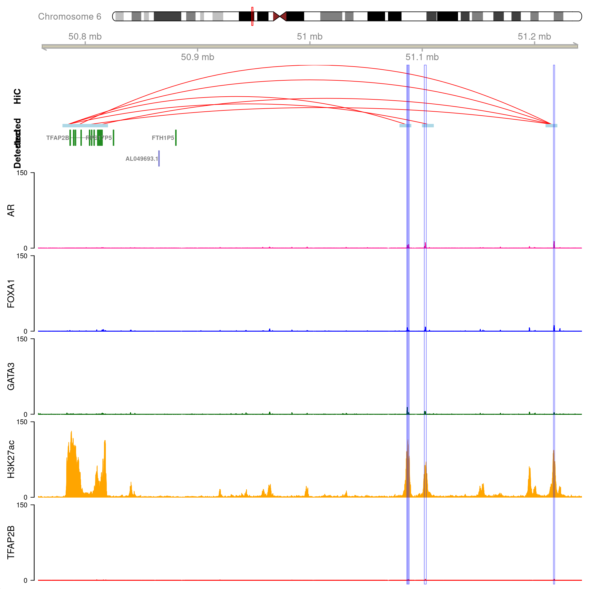 All H3K27ac-associated peaks where all four targets were detected, which map to *TFAP2B* and are within 500kb of *TFAP2B*. Only the medium-resolution 10kb interaction bins are shown.