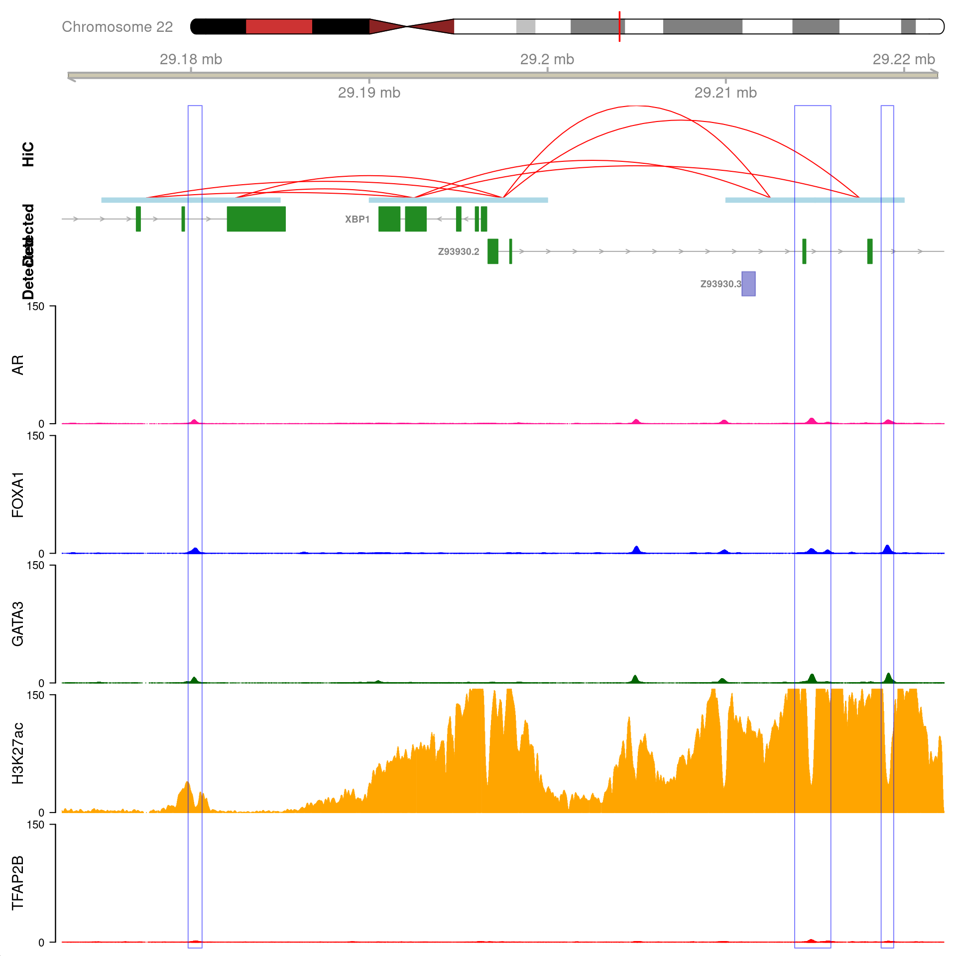 All H3K27ac-associated peaks where all four targets were detected, and which are within 100kb of *XBP1*. Only the high-resolution 5kb interaction bins are shown. The two additional peaks were not considered to show evidence of TFAP2B binding by macs2 callpeak and are not highlighted for this reason