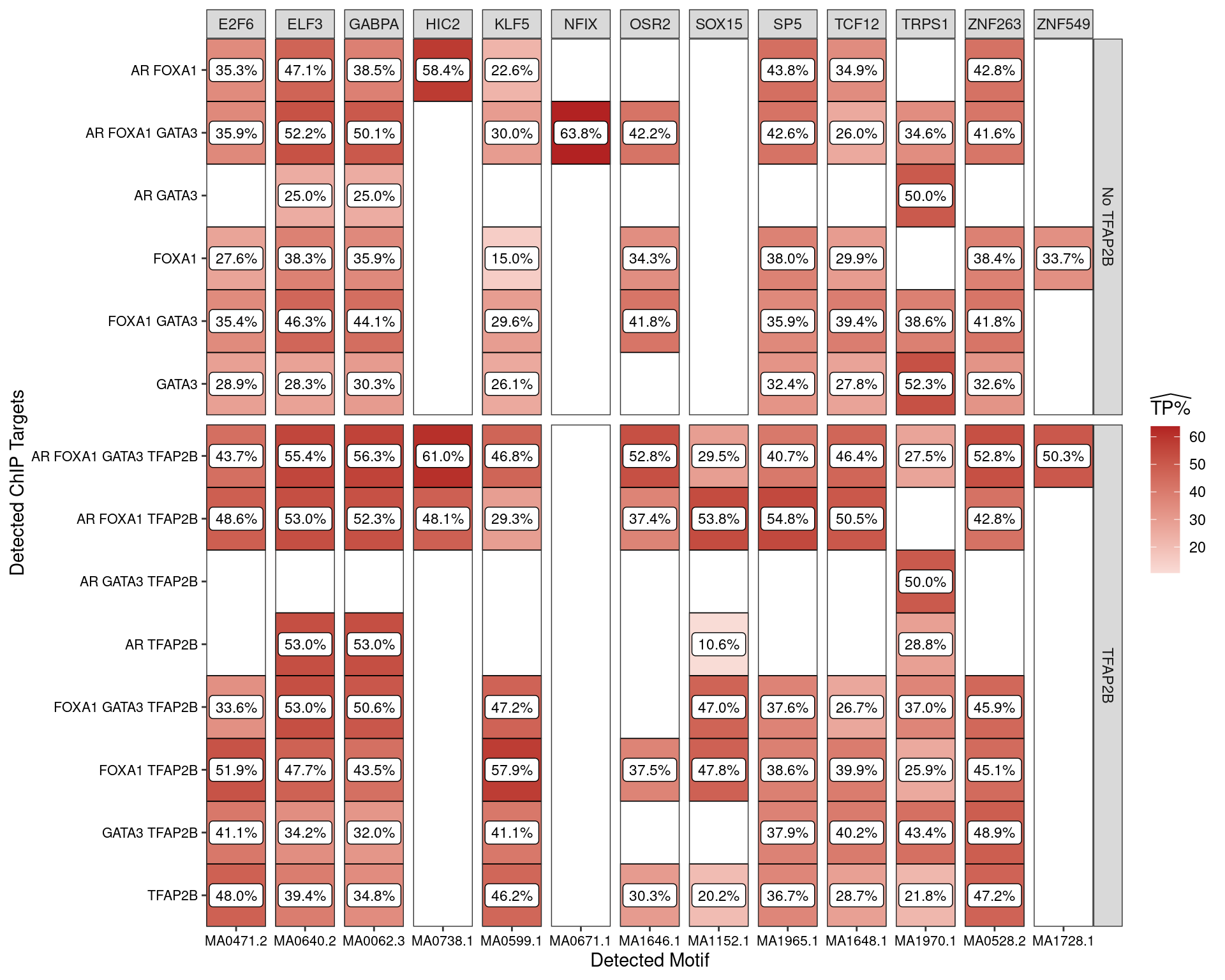 Enriched motifs when analysing all sequences associated with one or more ChIP targets **and which overlap an H3K27ac peak**. Motifs are only shown if found in >50% of sequences from at least one set of peaks.