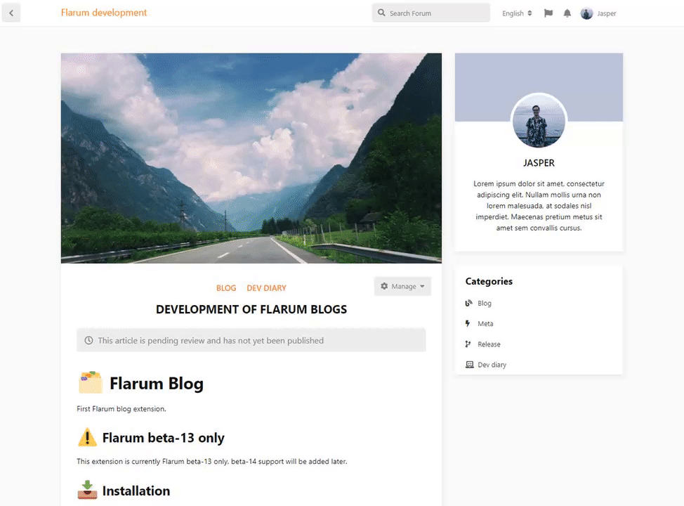Blog article