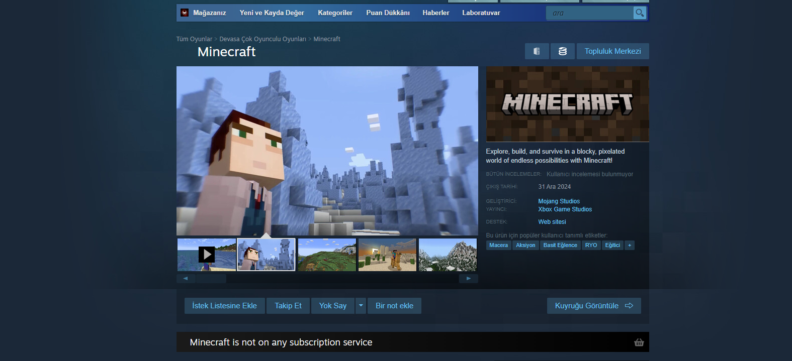 Minecraft Steam Sayfası