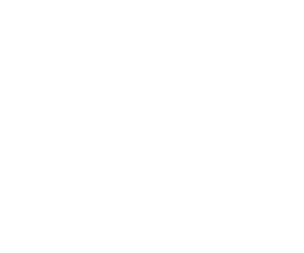 Larascord-transparent.png