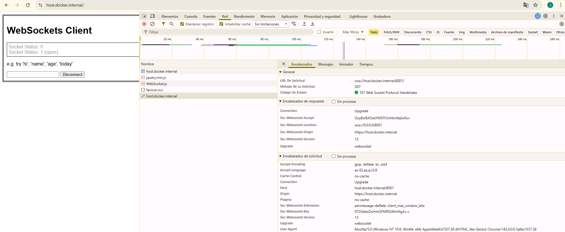 WSS local connection.