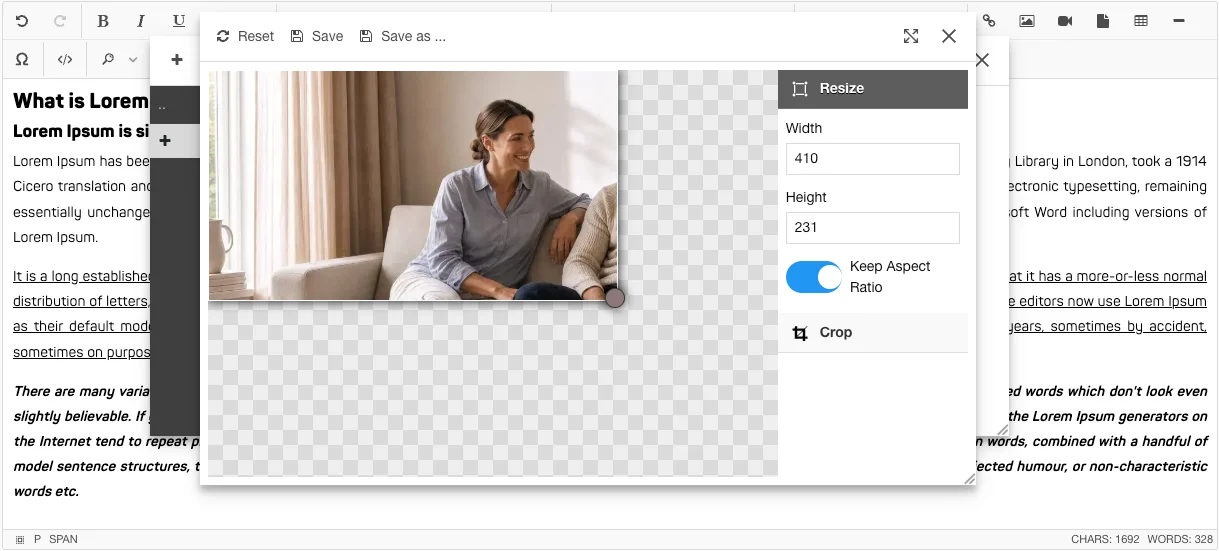 Jodit Editor