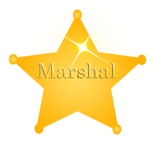Marshal Serializer logo