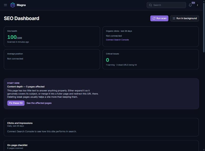 The Magna SEO dashboard