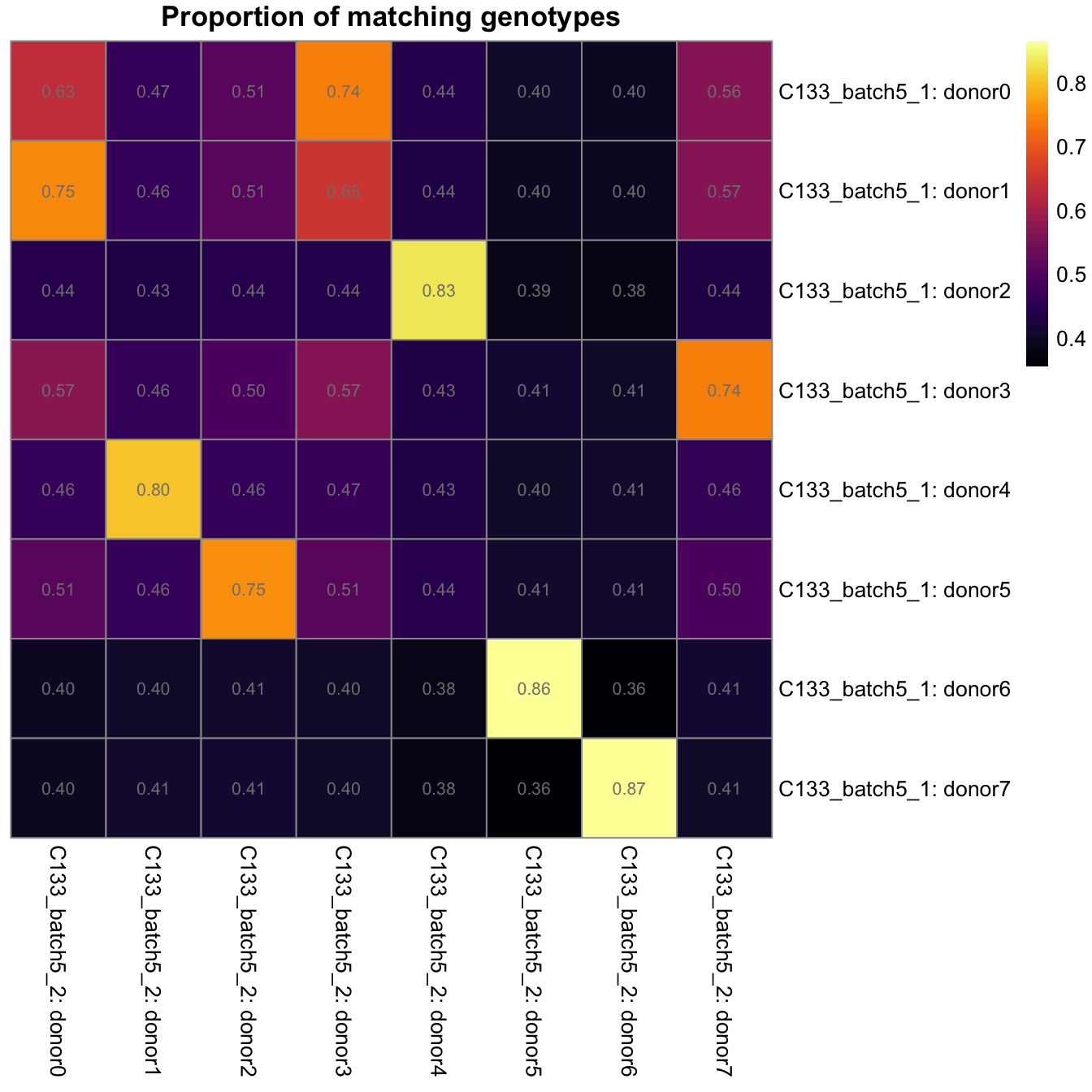 Proportion of matching genotypes between pairs of captures.