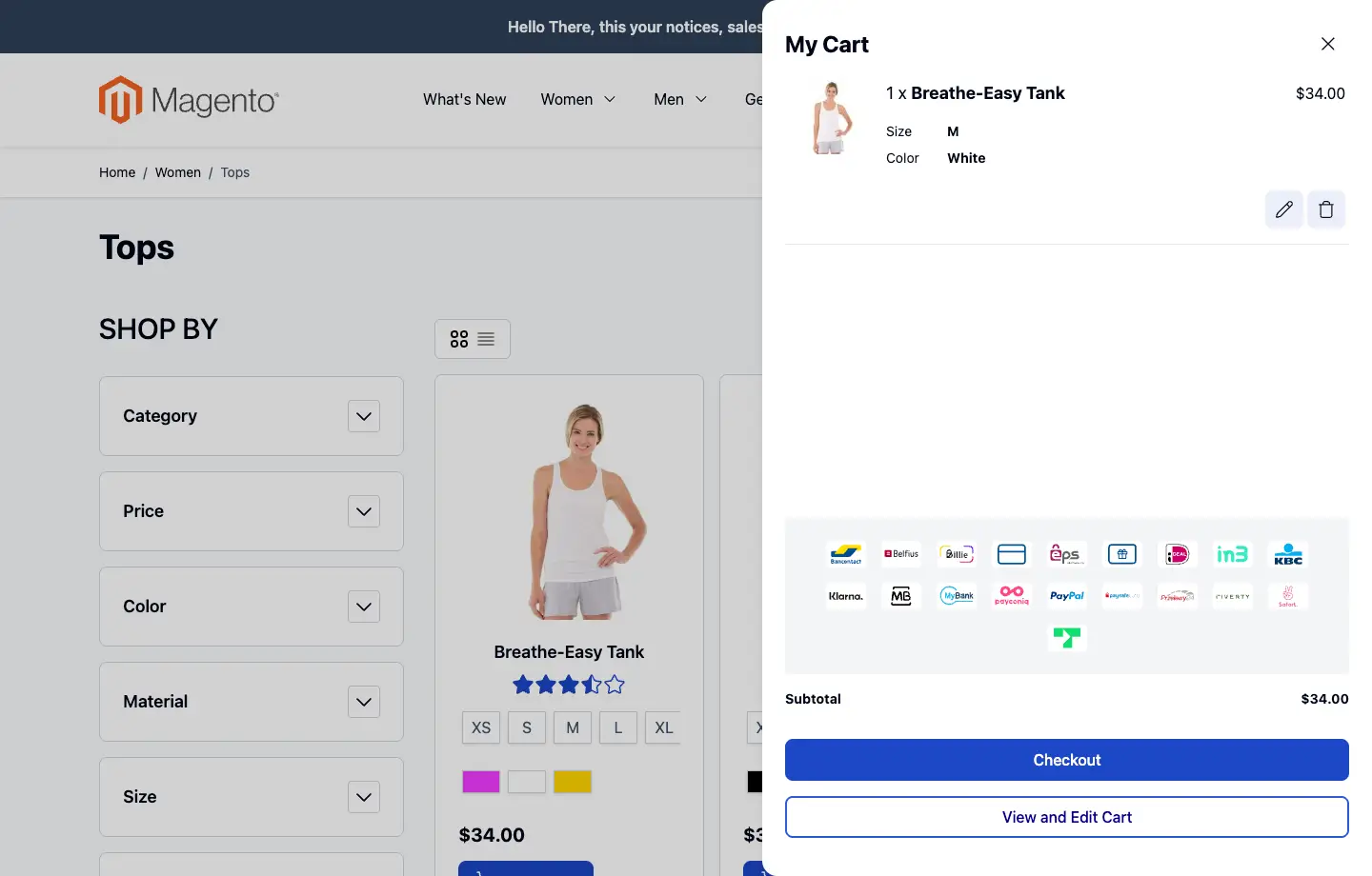 Preview of the Siteation StoreInfo Payments in minicart preview-2