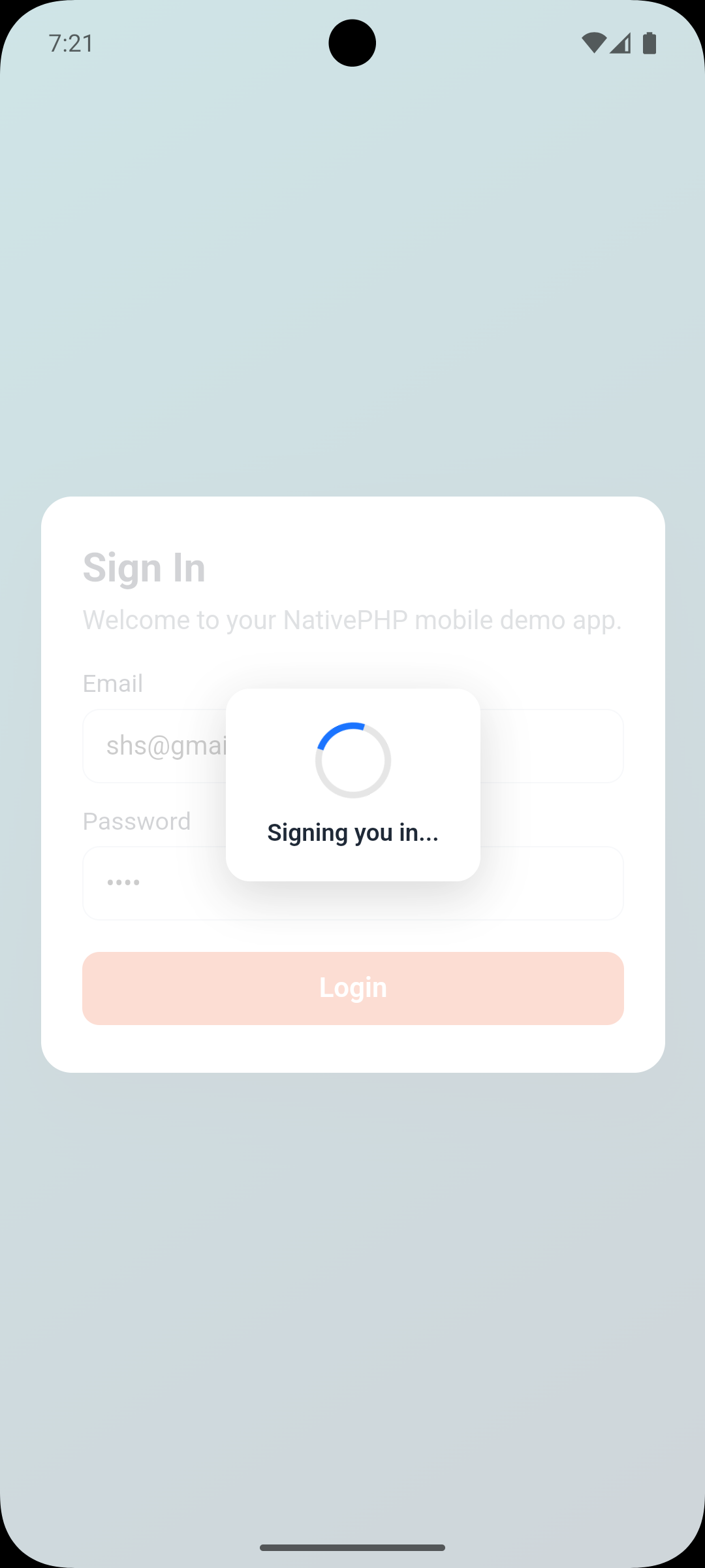 Mobikul Loader Preview